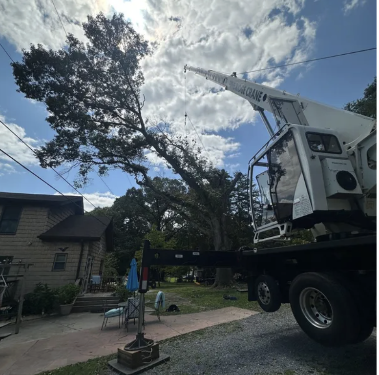 A crane lifting a large tree branch away from a residential property during daytime. The scene includes a house, outdoor furniture, and a partly cloudy sky.