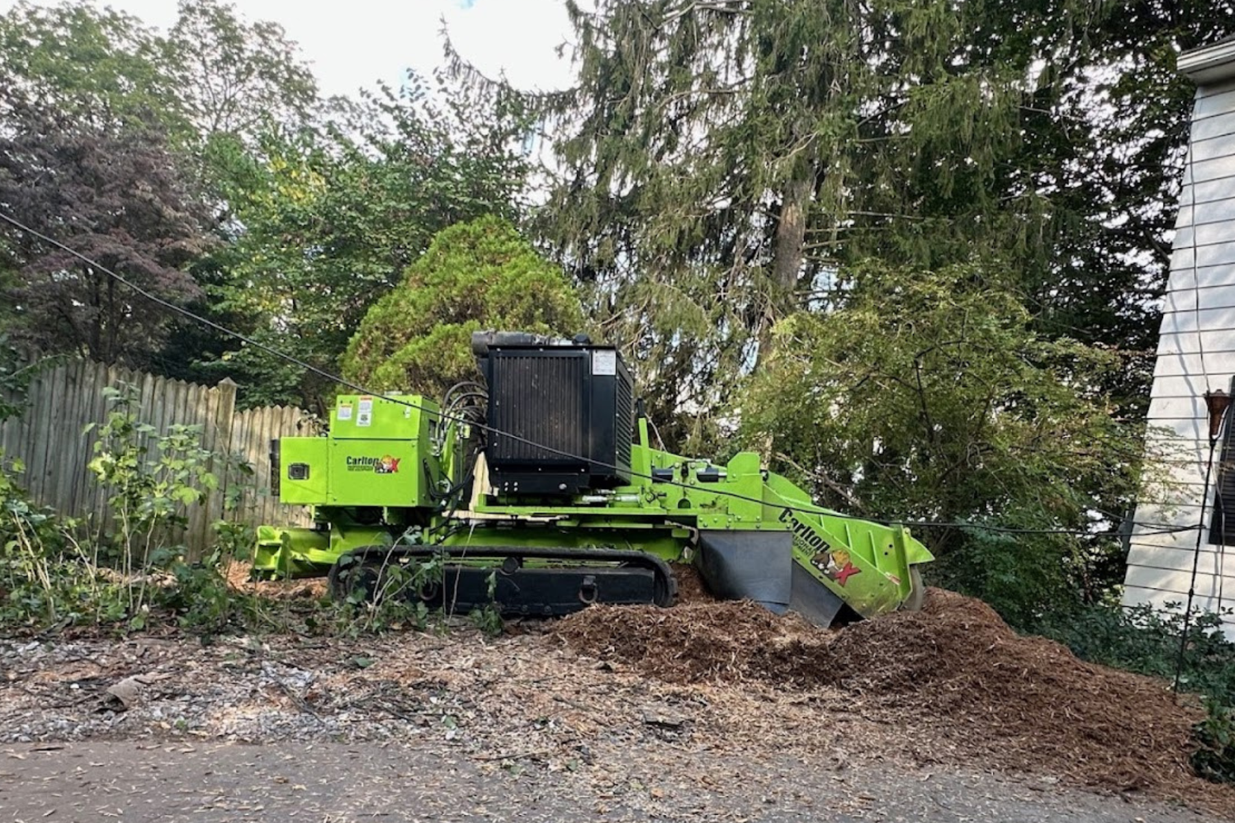 A green tree-trimming machine with the brand name Carlton X is operating on a yard, surrounded by trees, a wooden fence, and a white house.