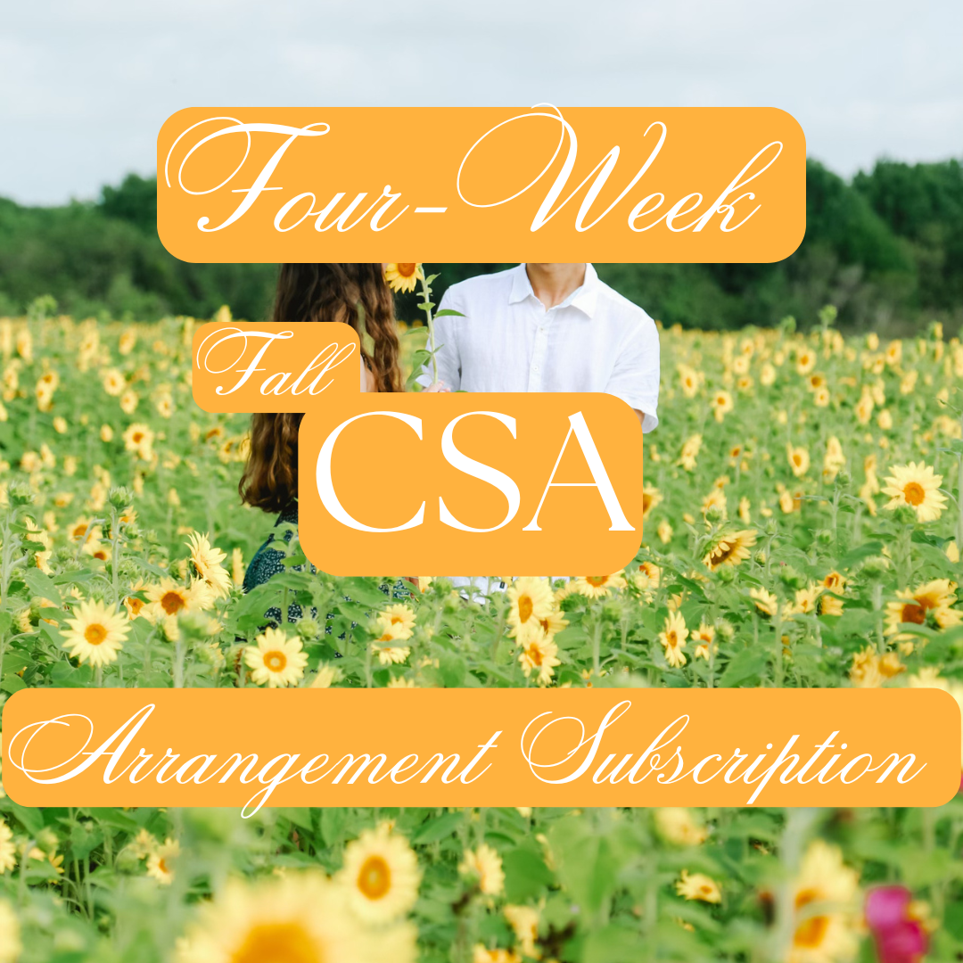 Fall CSA Flower Club