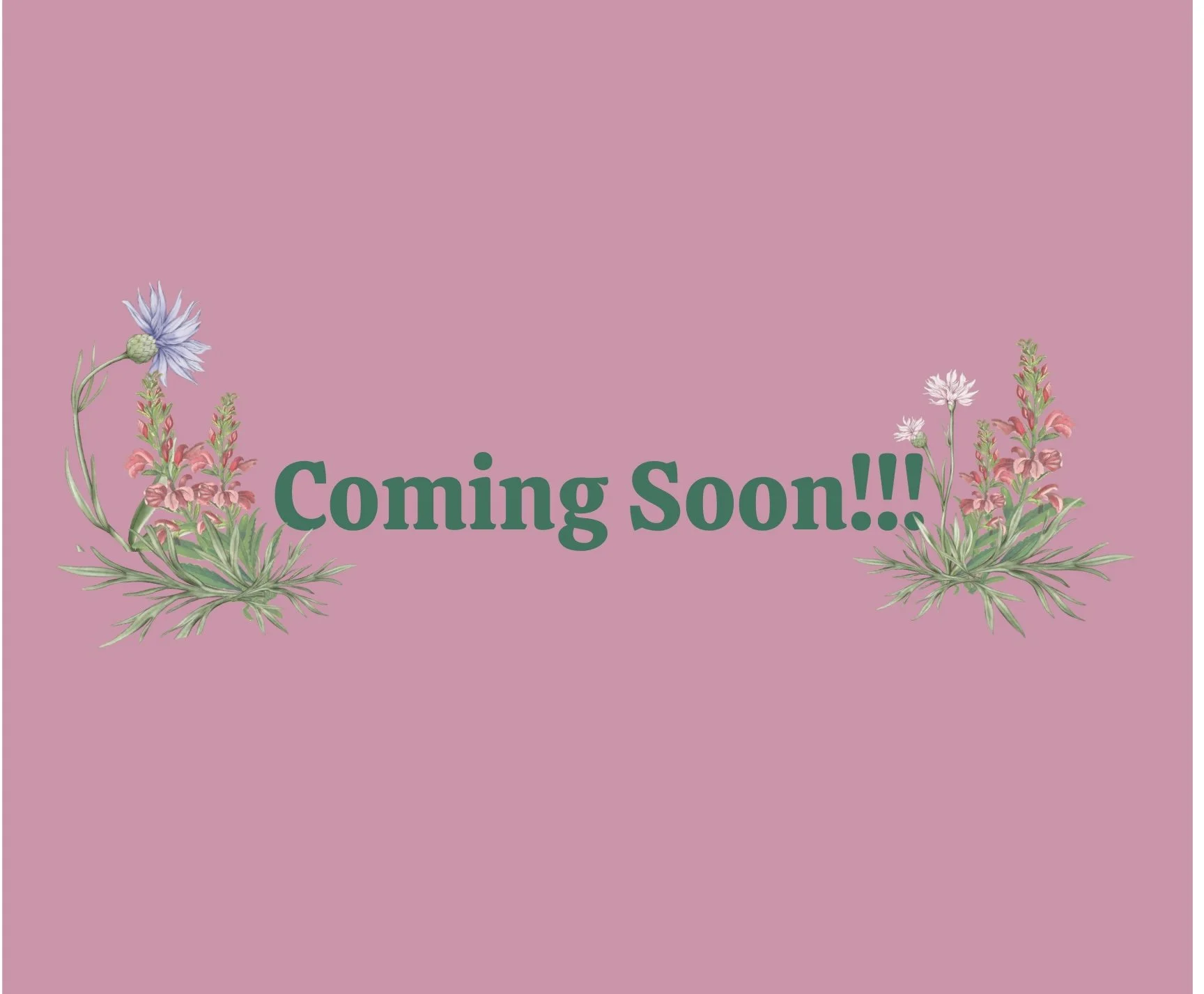 COMING SOON! 2.jpg