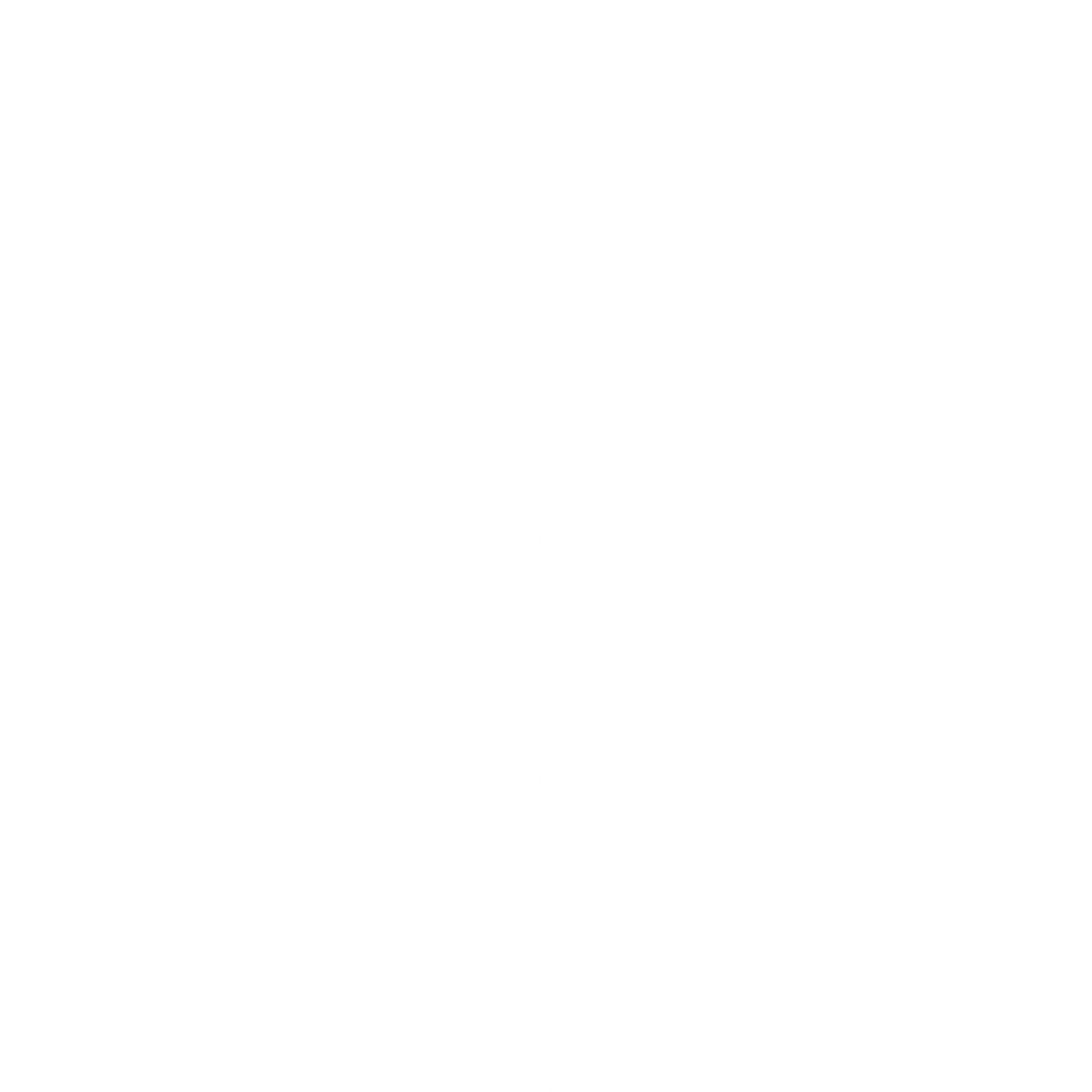 Outline of a plant with multiple leaves and stems
