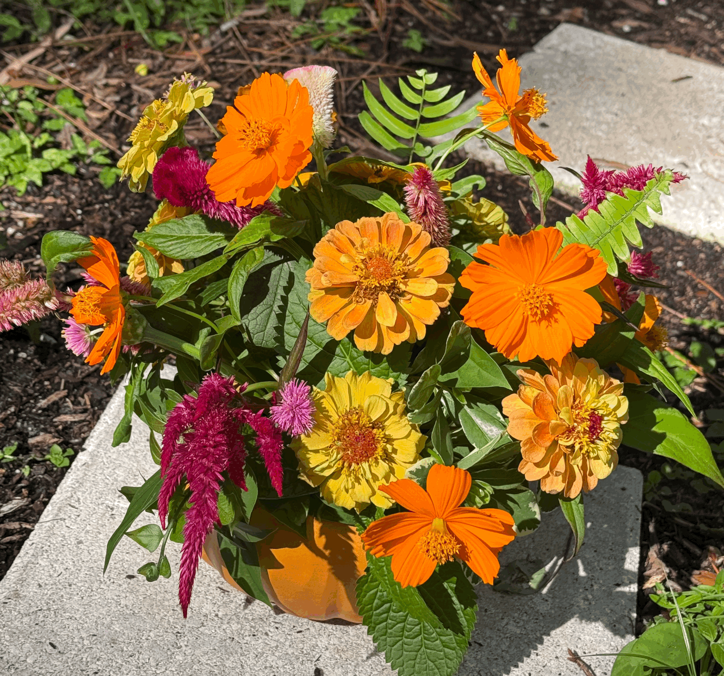 Fall CSA Flower Club