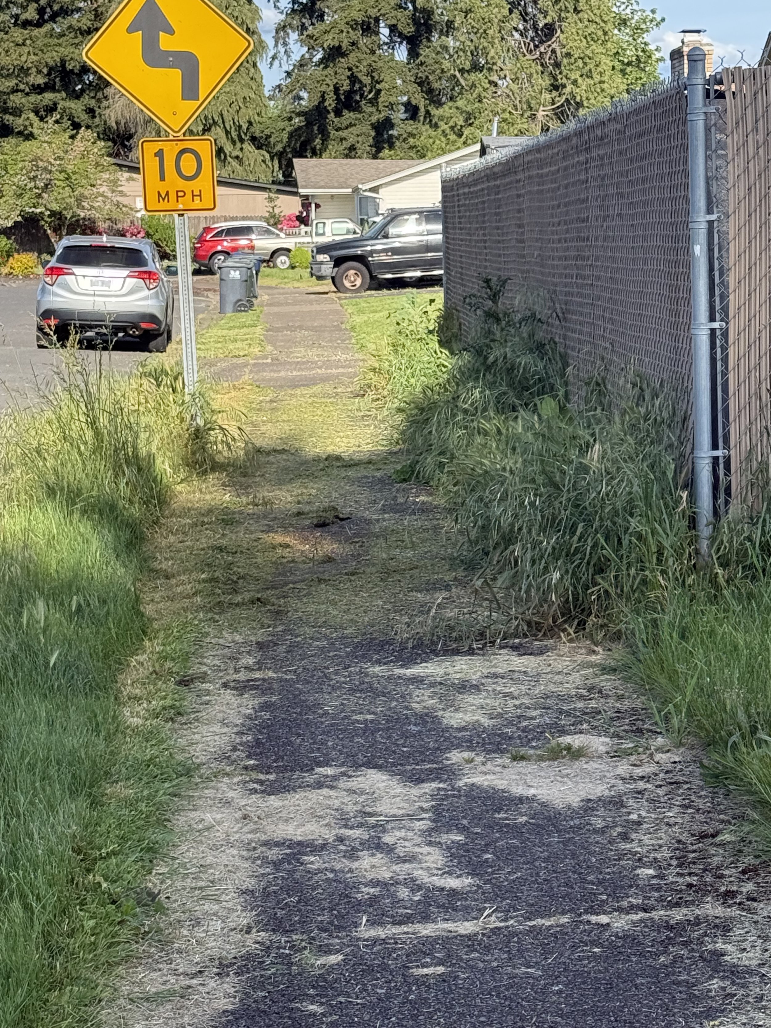 IMG_4136.jpeg
