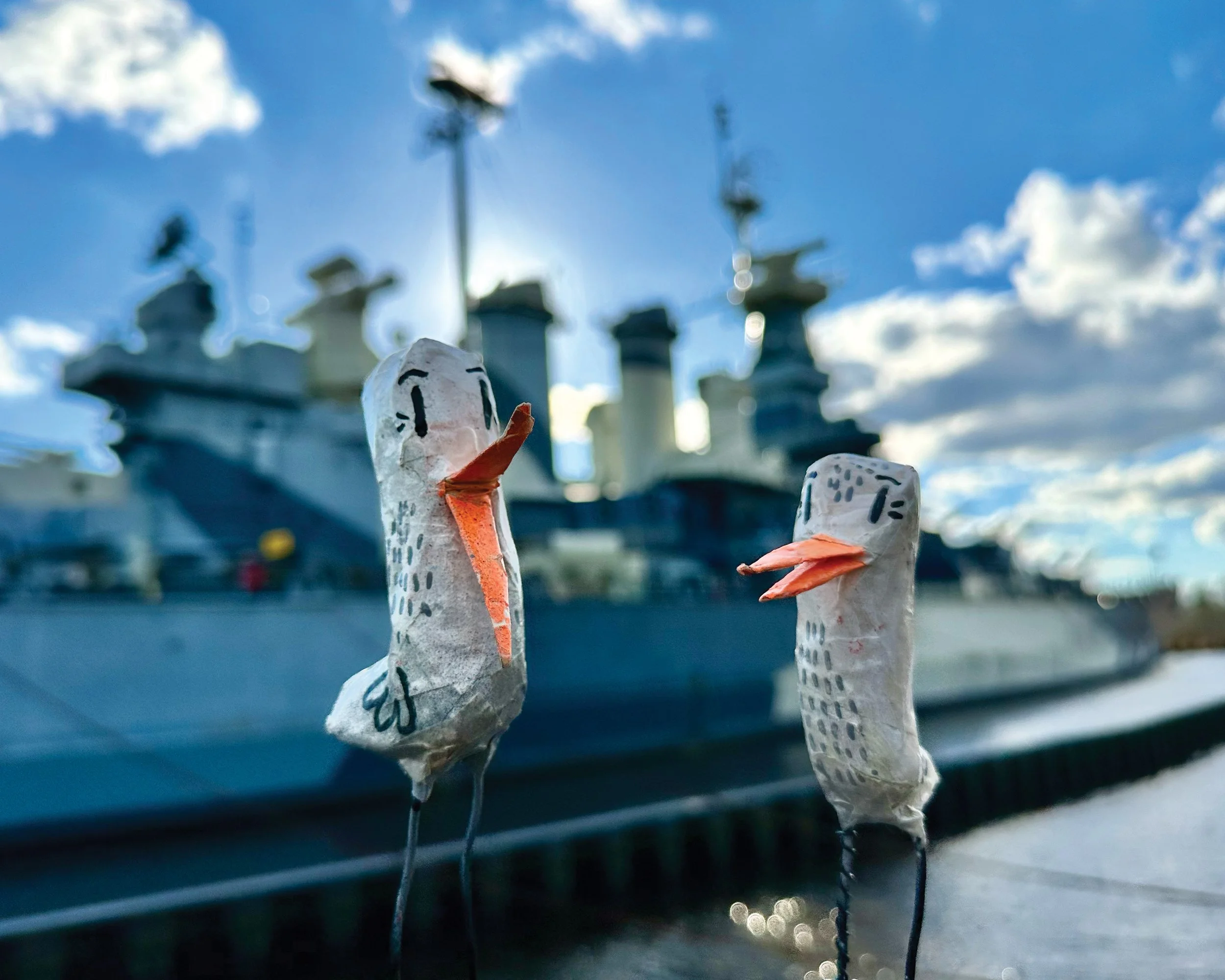 Gulls Battleship NC