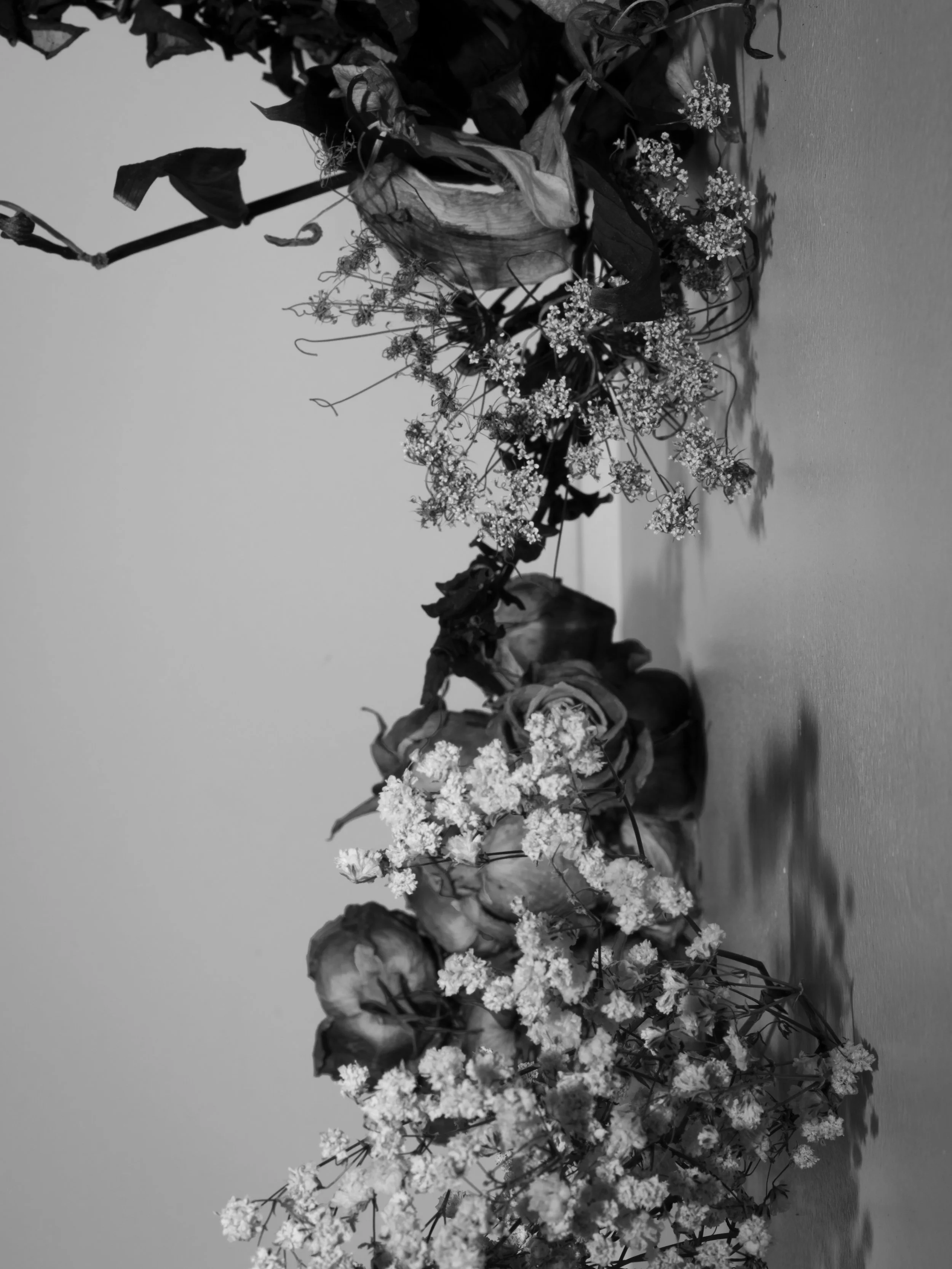 Fujifilm GFX Digital Photograph