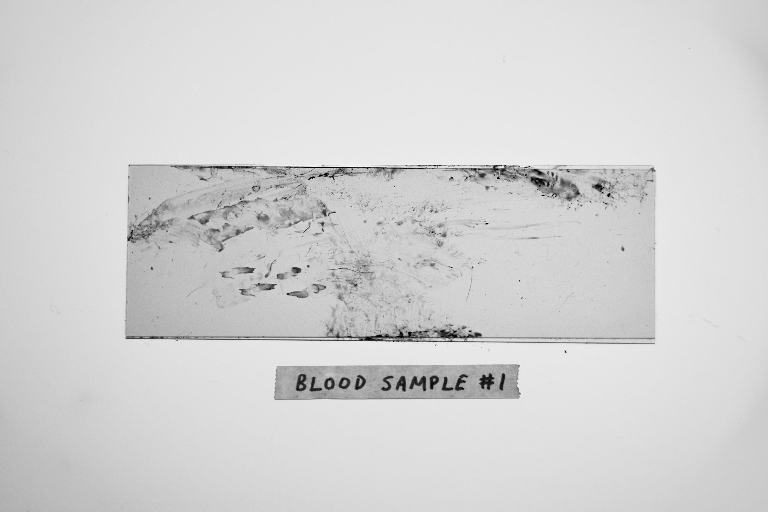 Canon 6D Mark II Digital Photograph