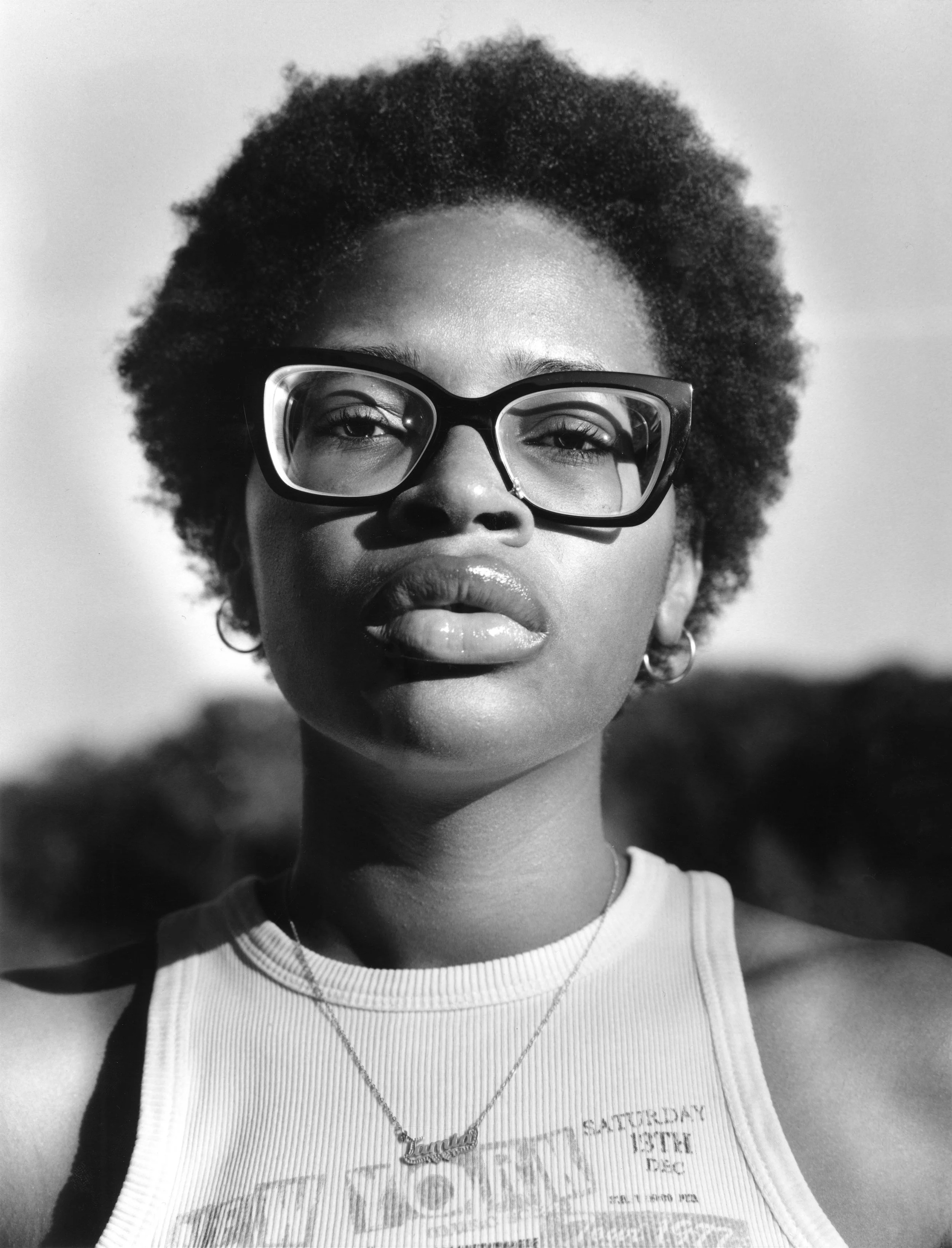 Calumet View Camera 4 x 5 Film Scan