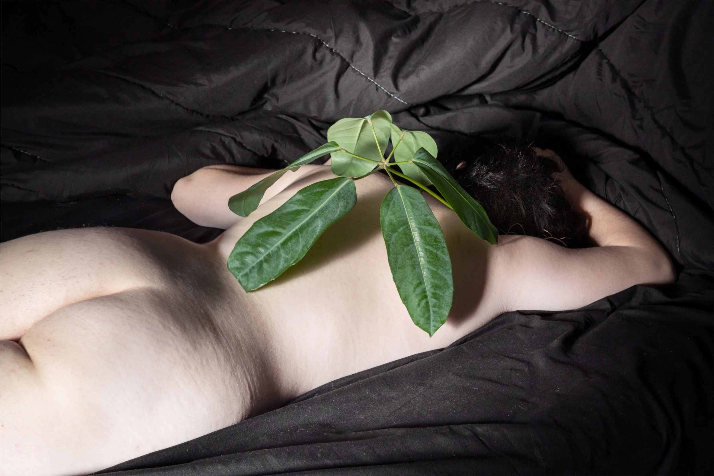 My Mother's Daughter