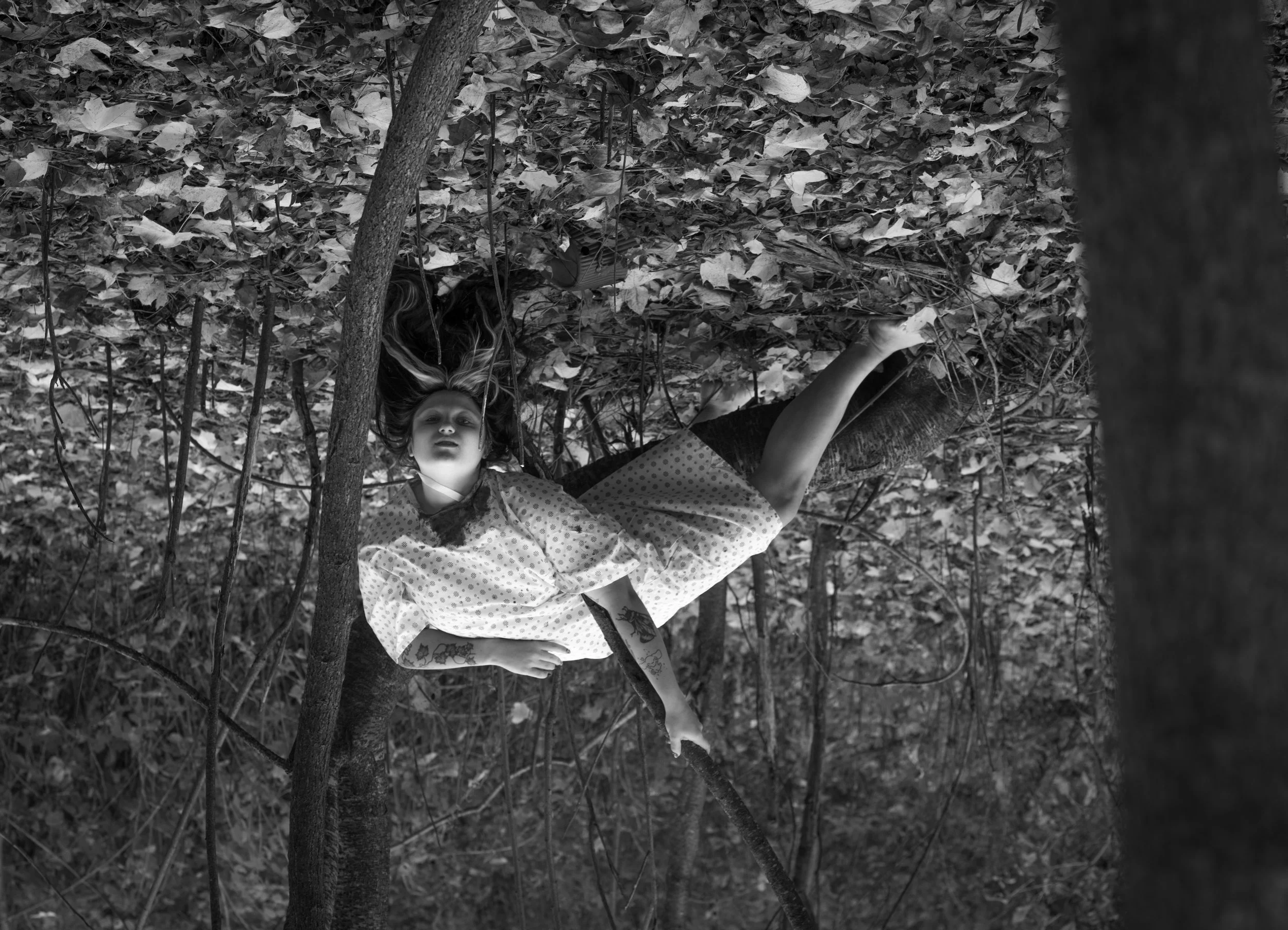 Pentax 645Z Medium Format Digital Photograph