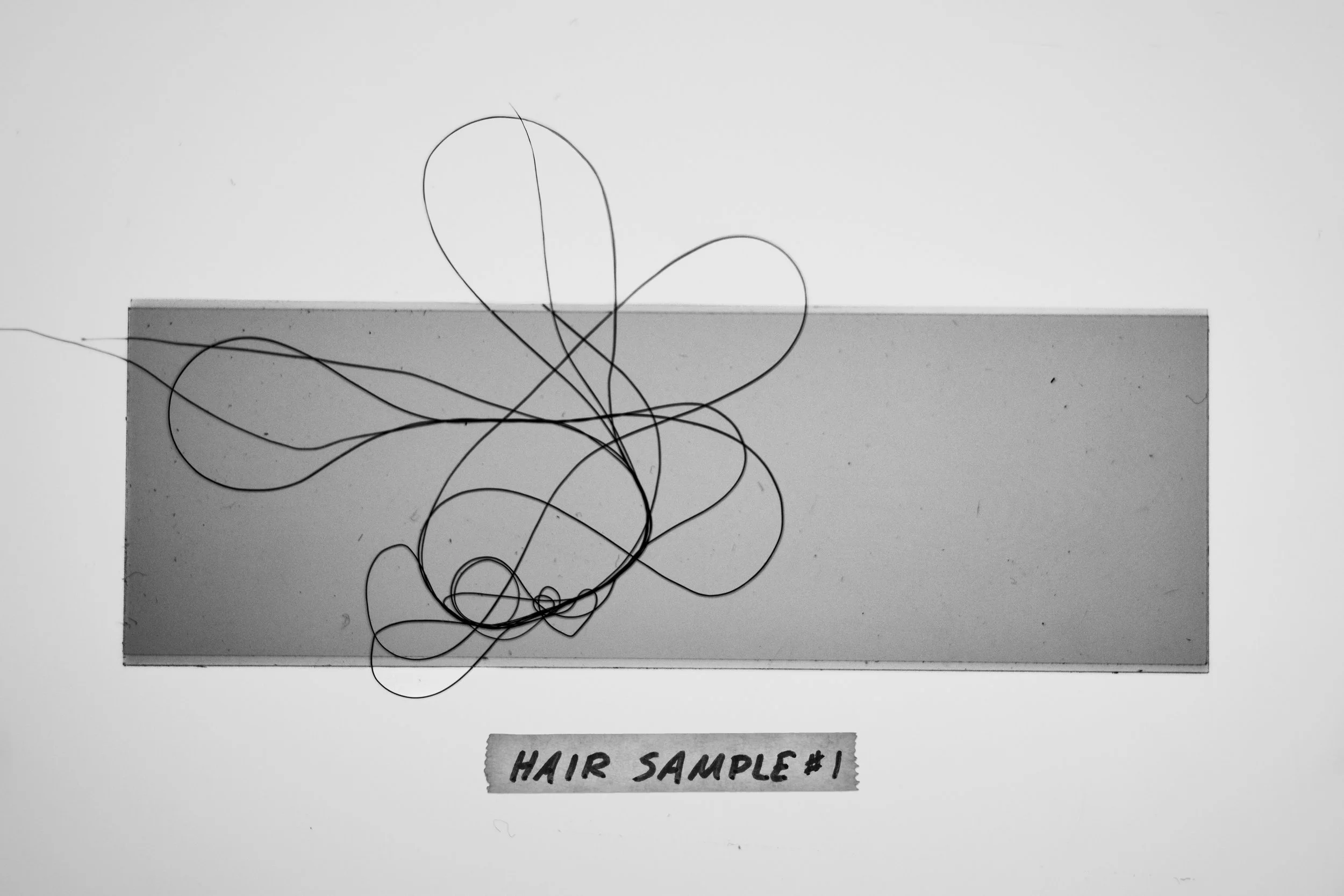 Canon 6D Mark II Digital Photograph