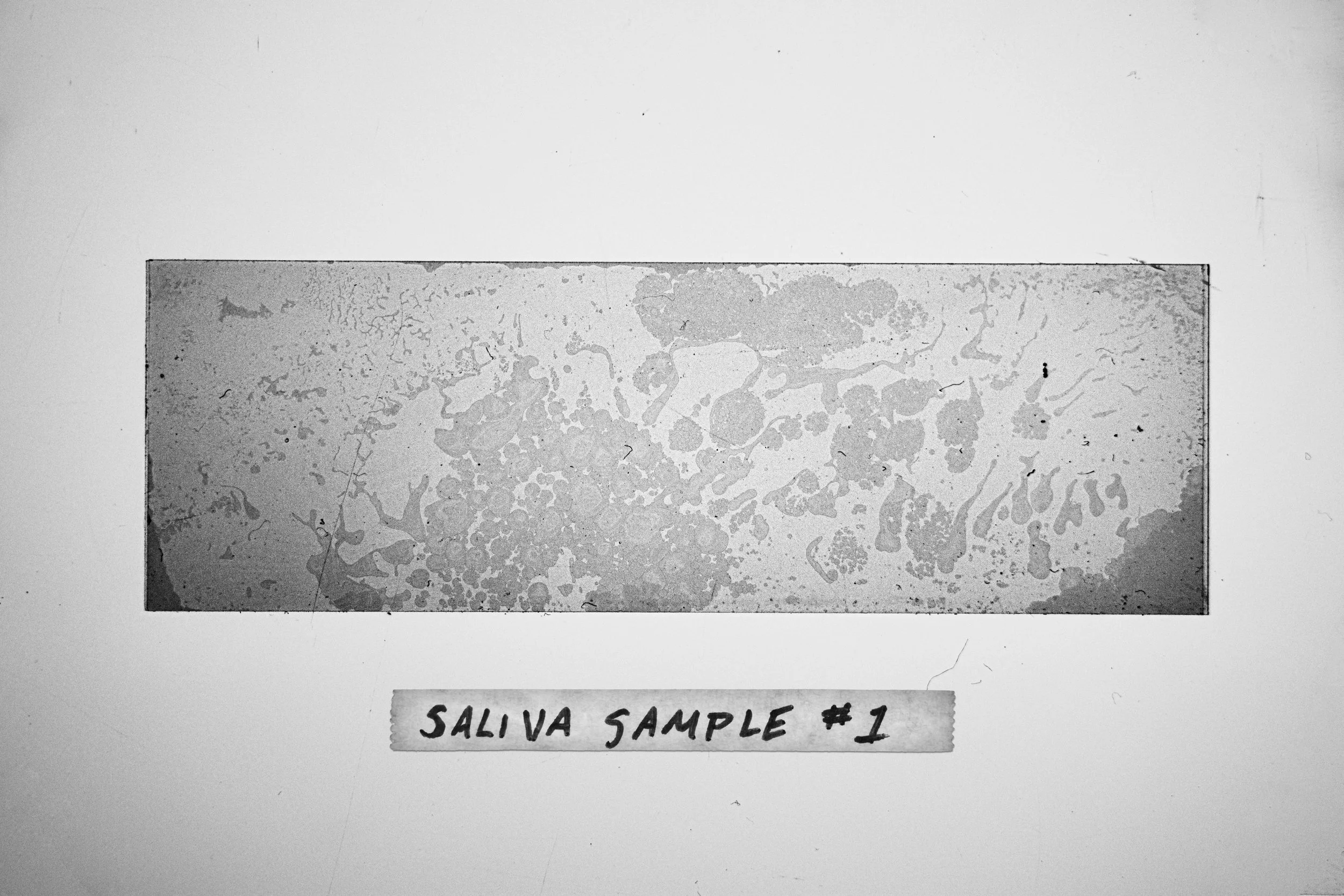 Canon 6D Mark II Digital Photograph