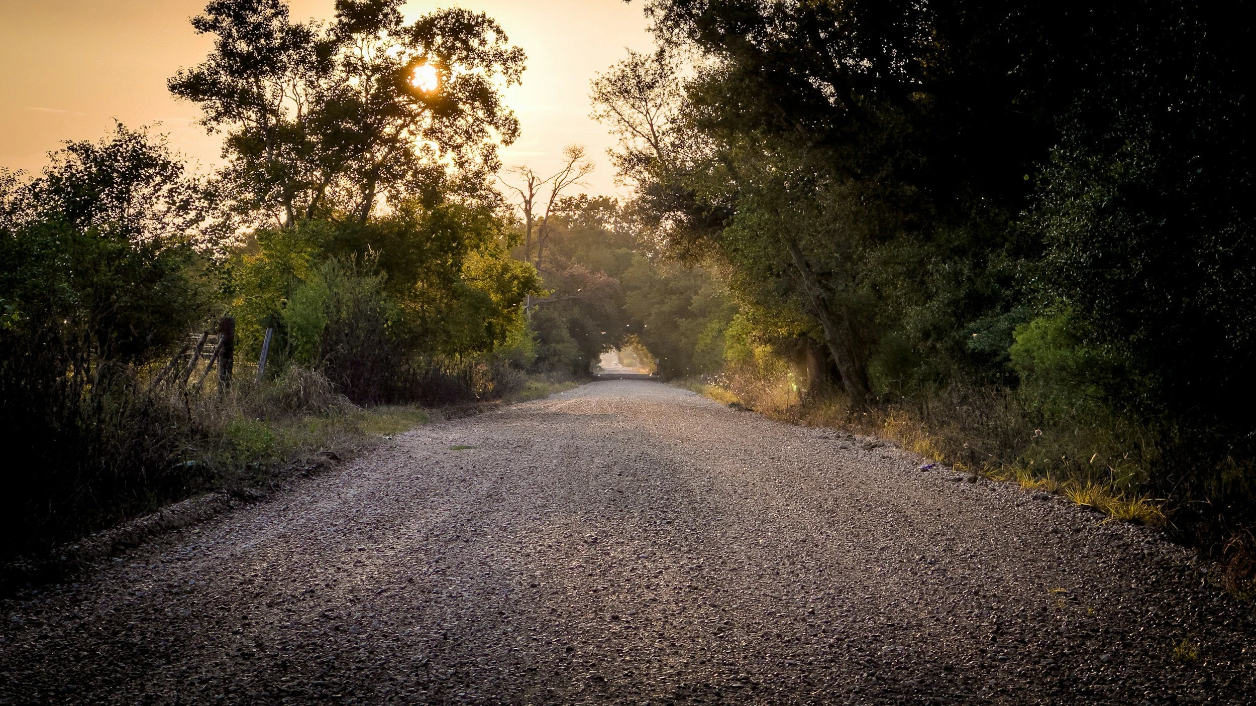 The Dusty Gravel Road That Brought Me Here