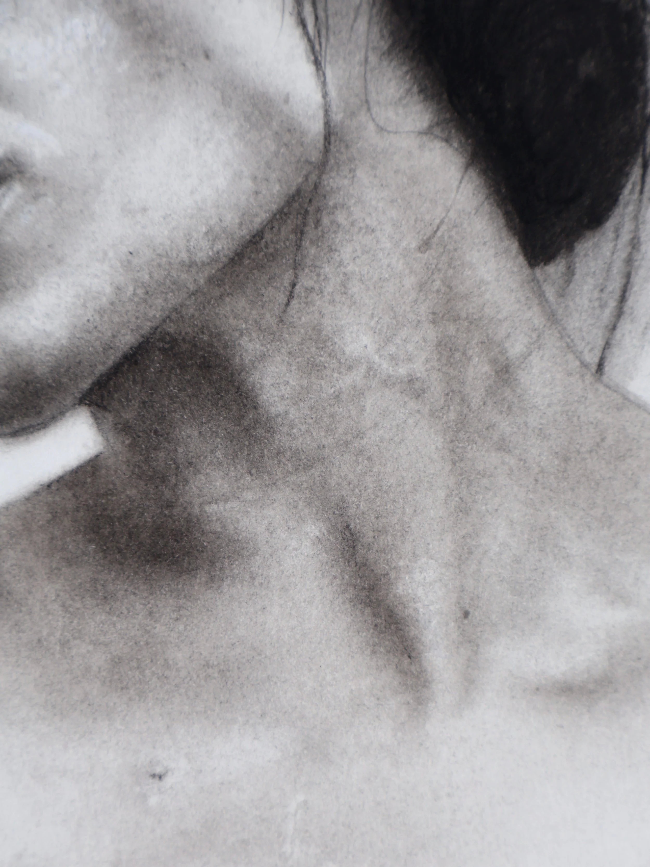 "What Remains Soft"
Charcoal on Paper
9 x 12 in | 2026
