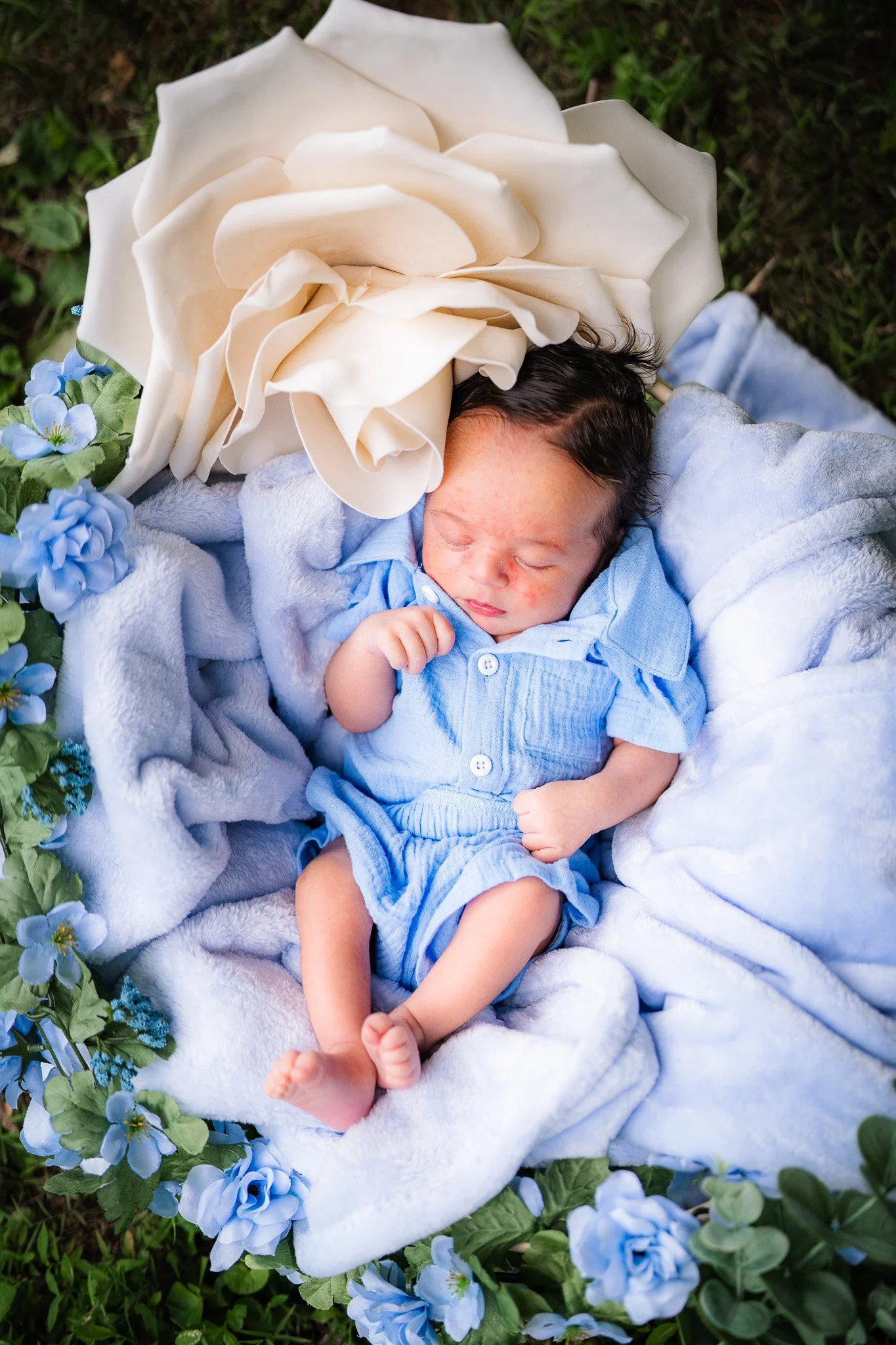 Styled newborn photography session Nashville