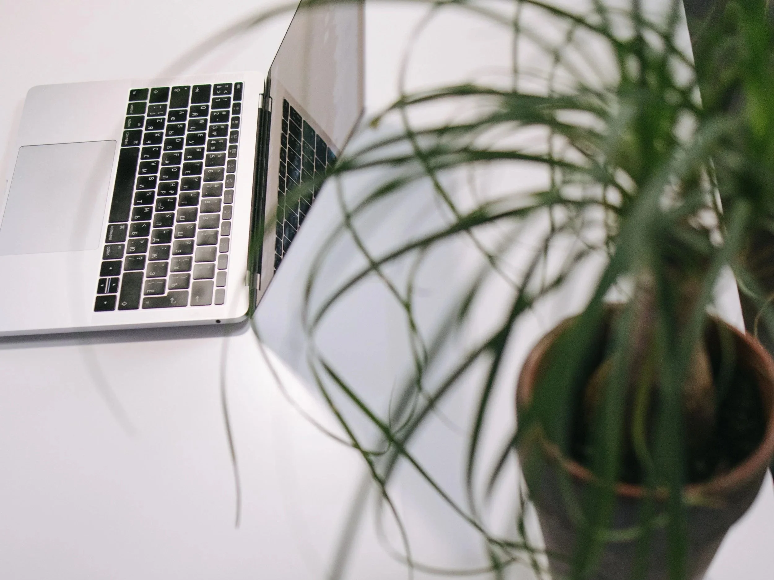 What Happens When You Stop Trying So Hard in Your Freelance Business?