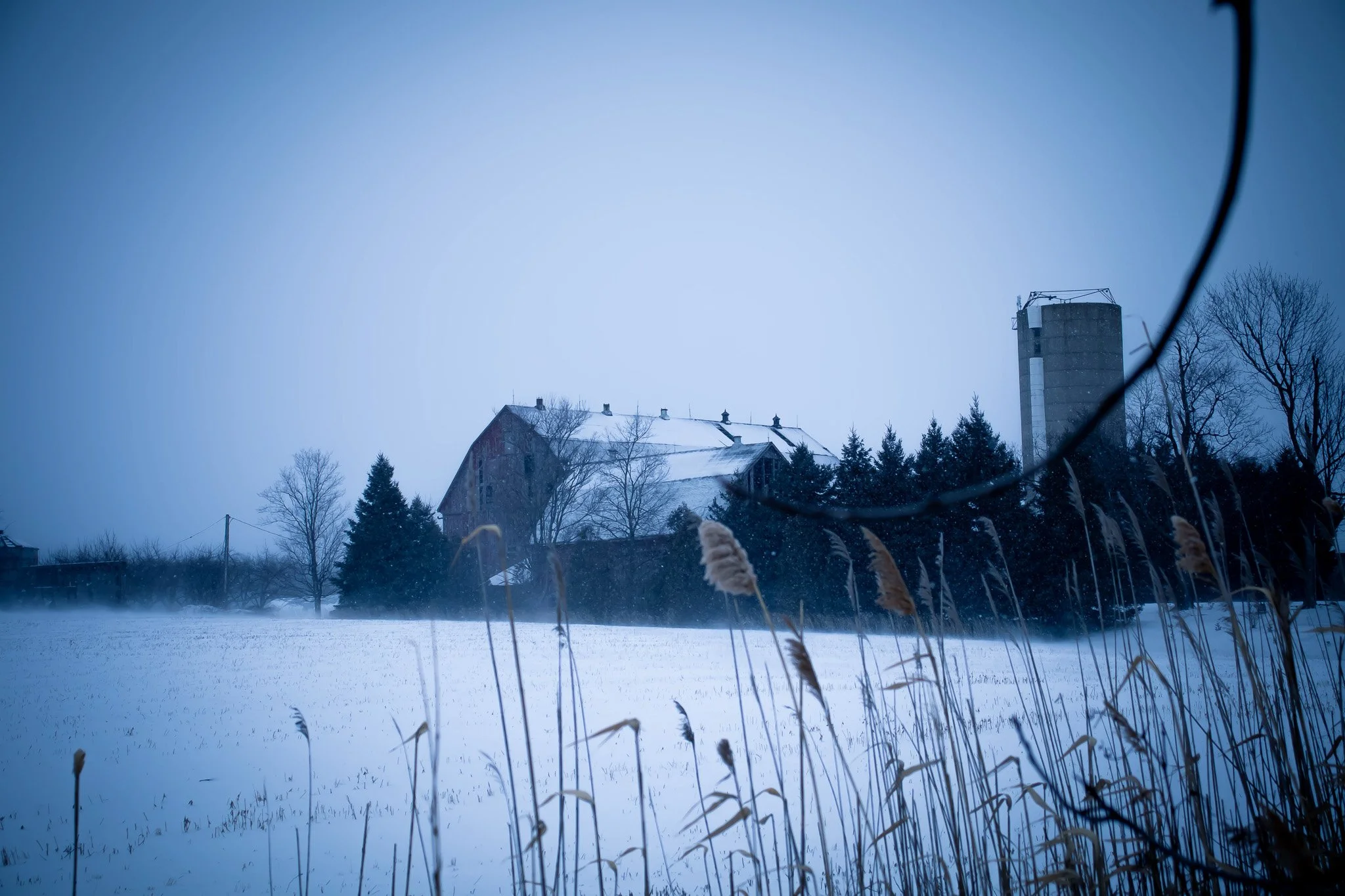 Snow-covered field with dry grass, trees, a barn, and a silo in the background under a cloudy sky.