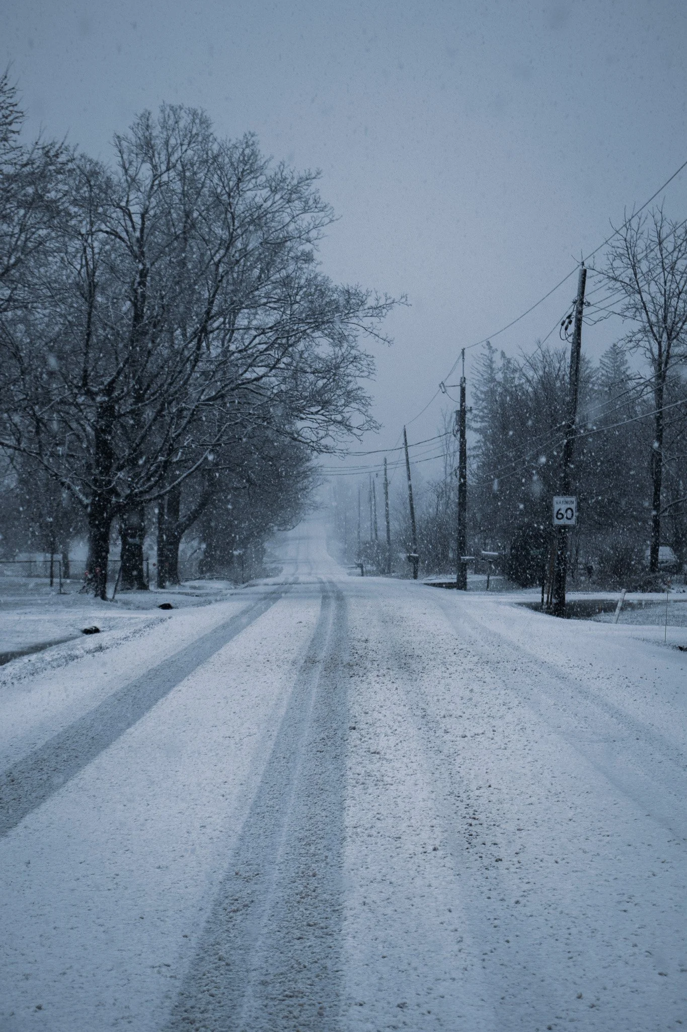 Snow-covered road with tire tracks, lined by leafless trees and utility poles, under a cloudy gray sky during winter.