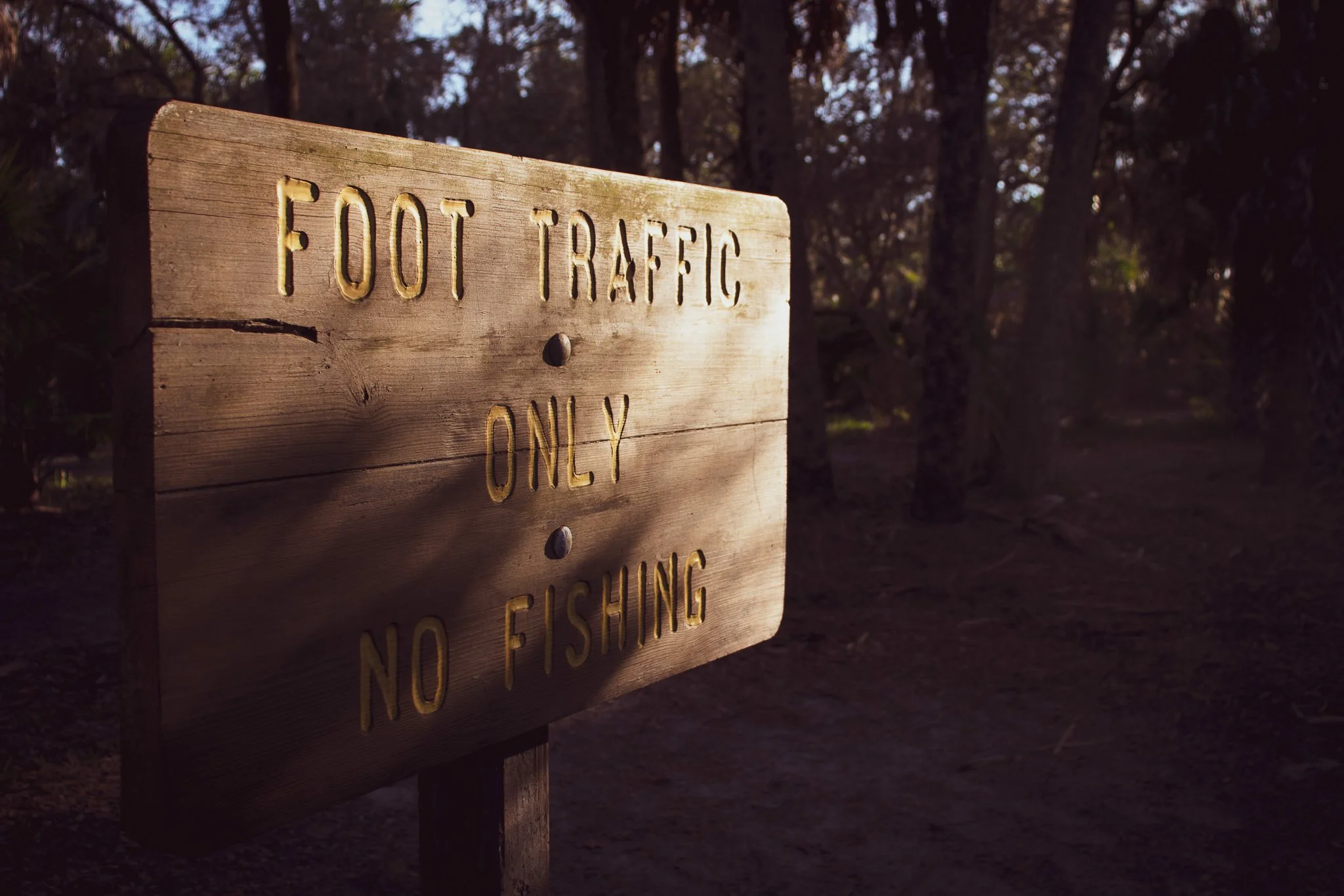 A wooden sign with carved yellow letters that reads 'FOOT TRAFFIC ONLY.' It is situated in a wooded area with trees and sunlight filtering through the branches.