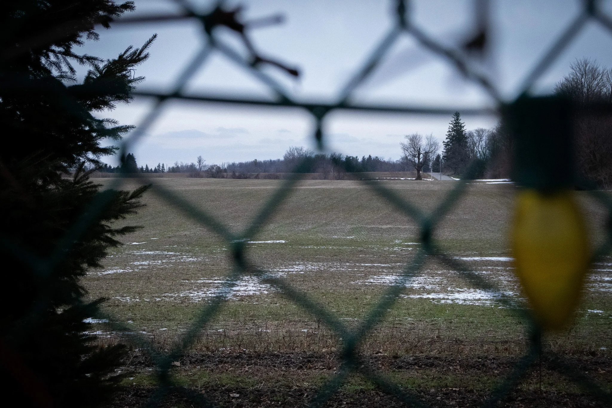 View through a chain-link fence of a field with patches of snow, trees in the distance, under overcast sky.