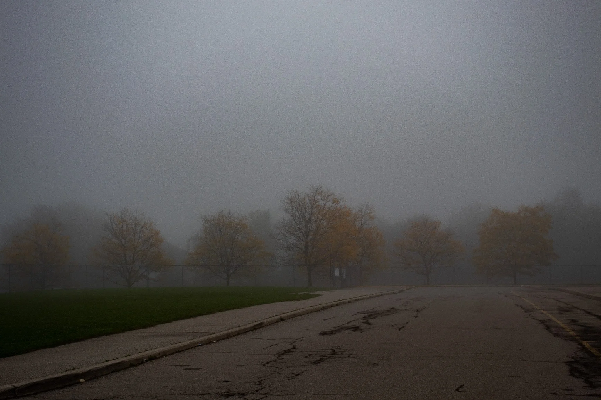 A foggy outdoor scene with a sidewalk, leafless trees, and a grassy area.