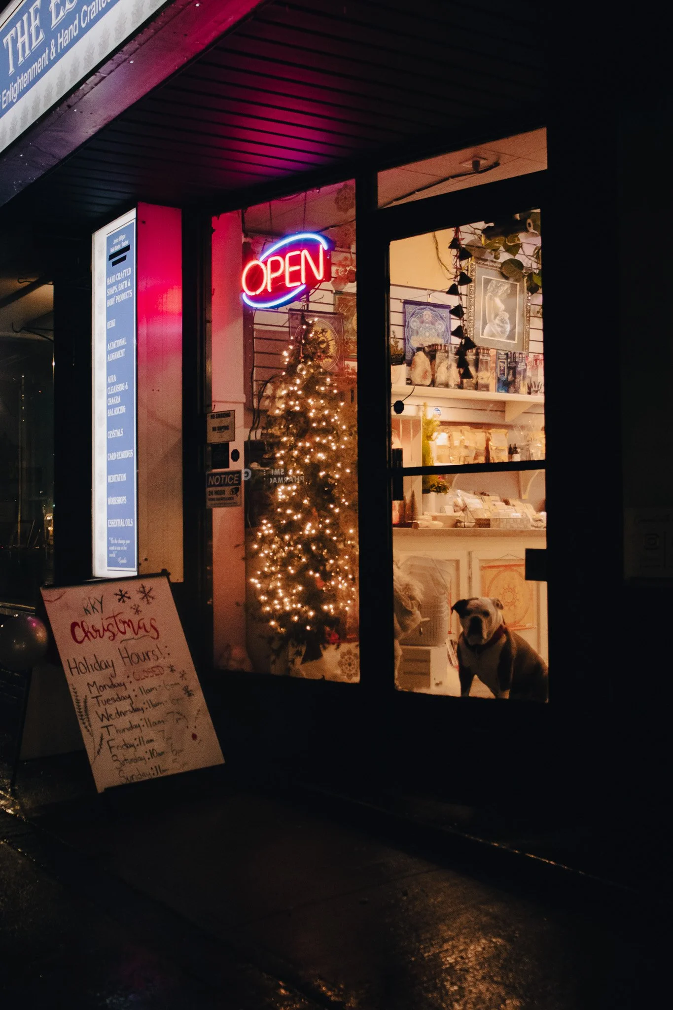 A storefront at night decorated for Christmas with a lit Christmas tree and a neon 'Open' sign. Inside, there are framed pictures on the wall and shelves with various items. Two dogs are sitting inside, and a handwritten sign with holiday hours is di