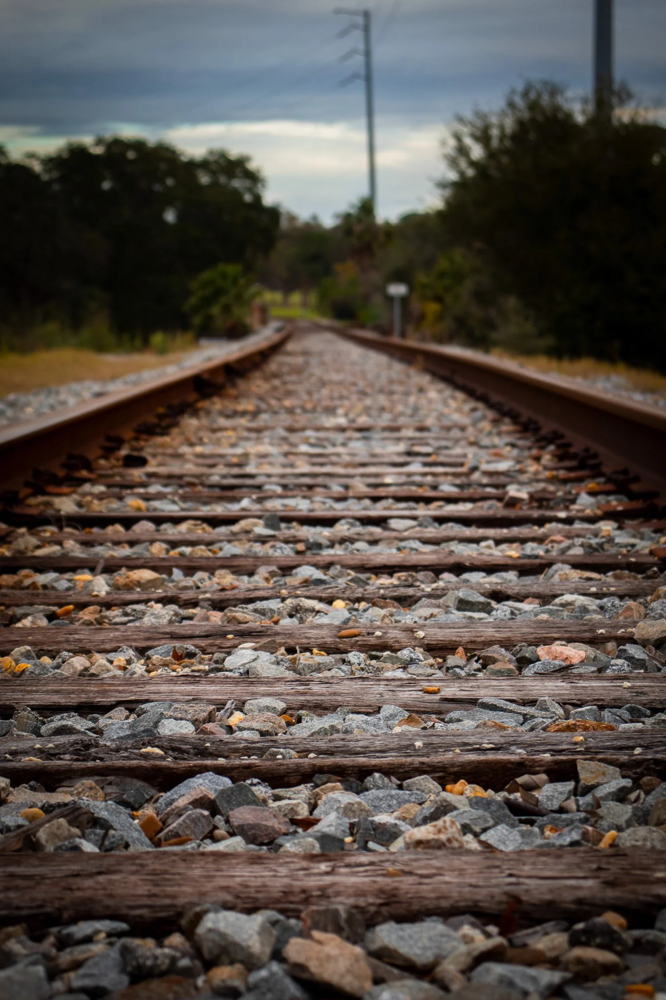 A set of old railway tracks with gravel on either side, extending into the distance under a cloudy sky, flanked by trees and power lines.
