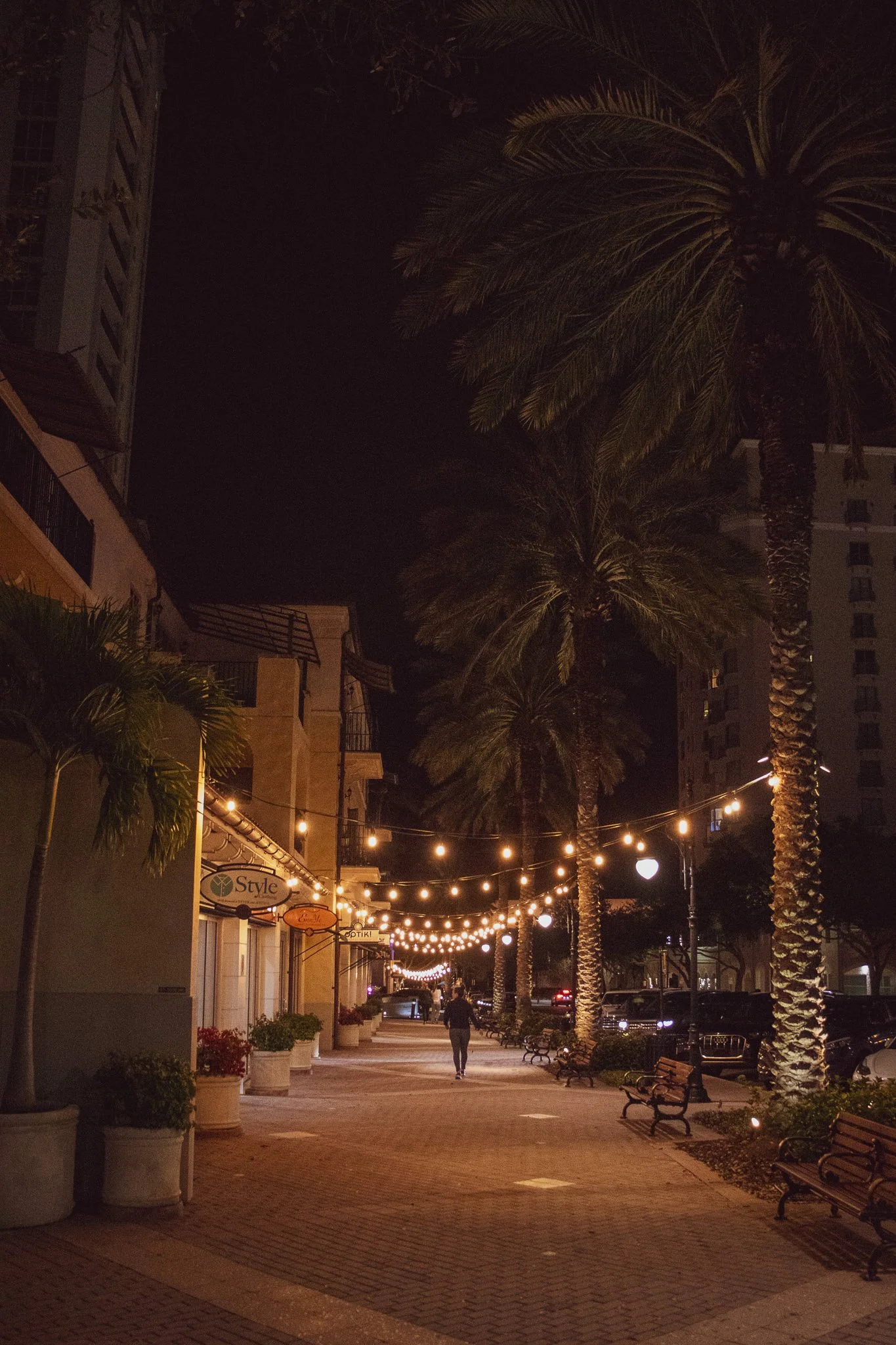 Nighttime scene of a pedestrian walkway lined with palm trees, string lights, benches, and storefronts.