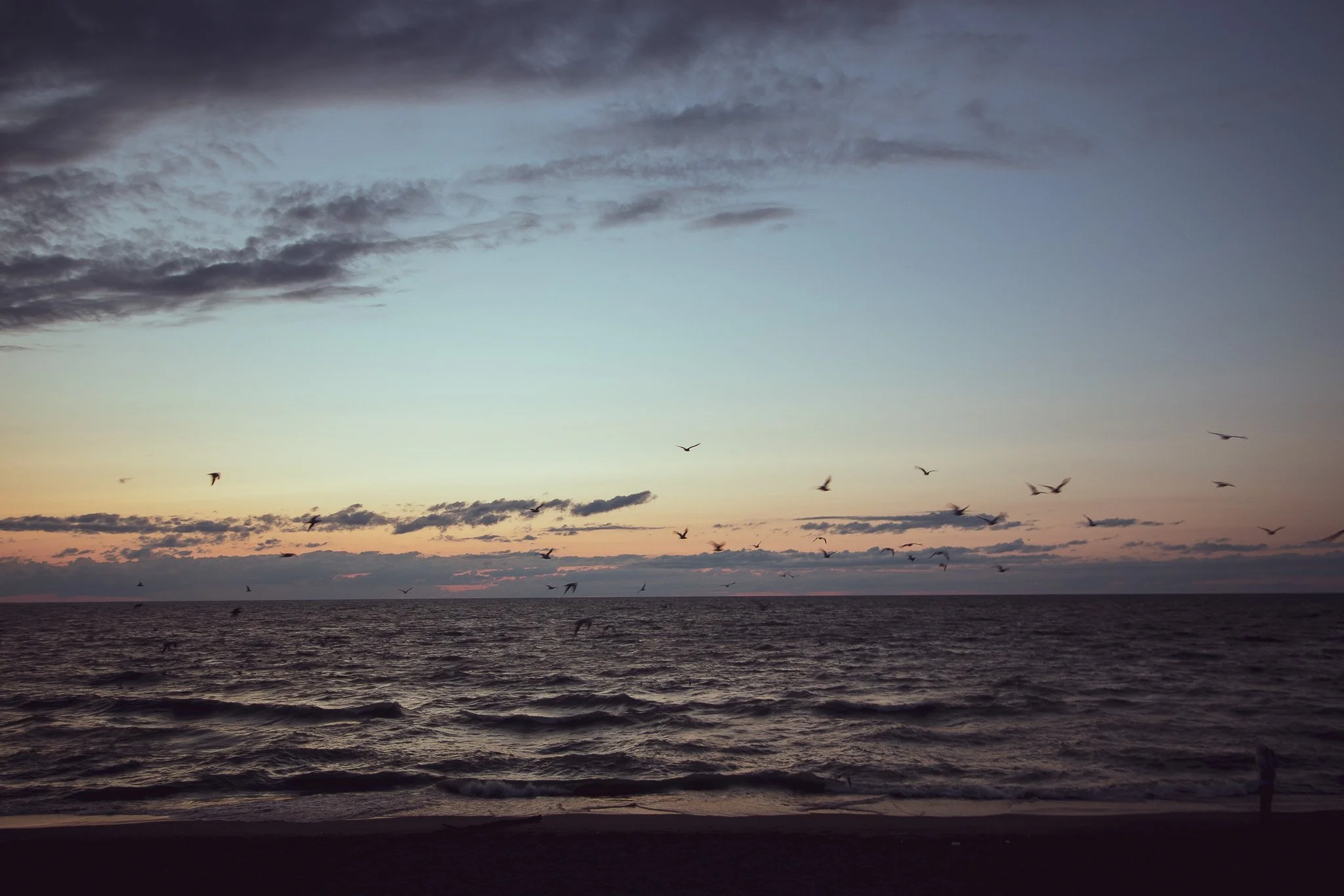 Sunset over the ocean with a flock of birds flying in the sky and clouds forming above the horizon.