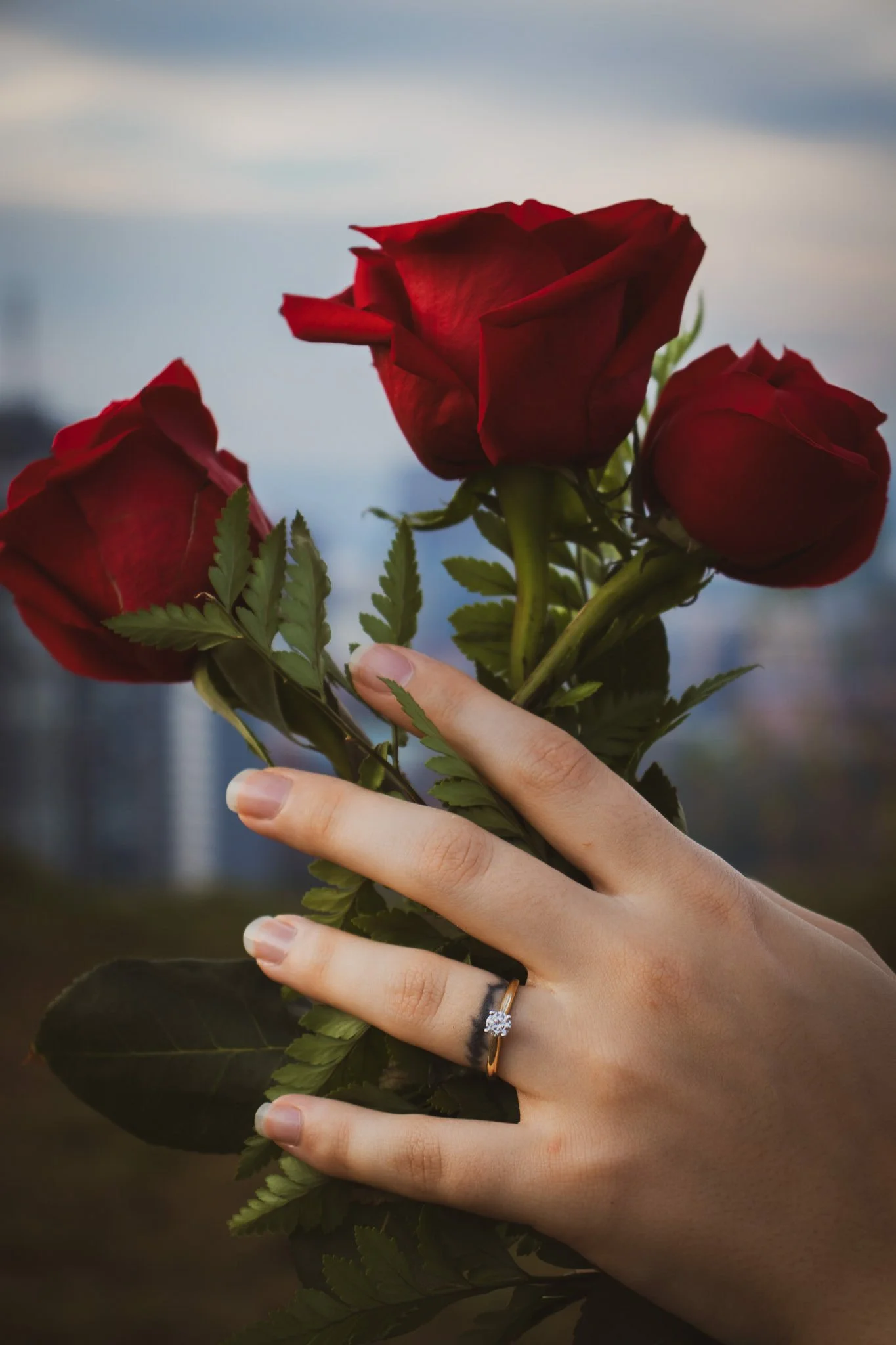 Close-up of a hand with a ring holding a bouquet of red roses against a blurred outdoor background.
