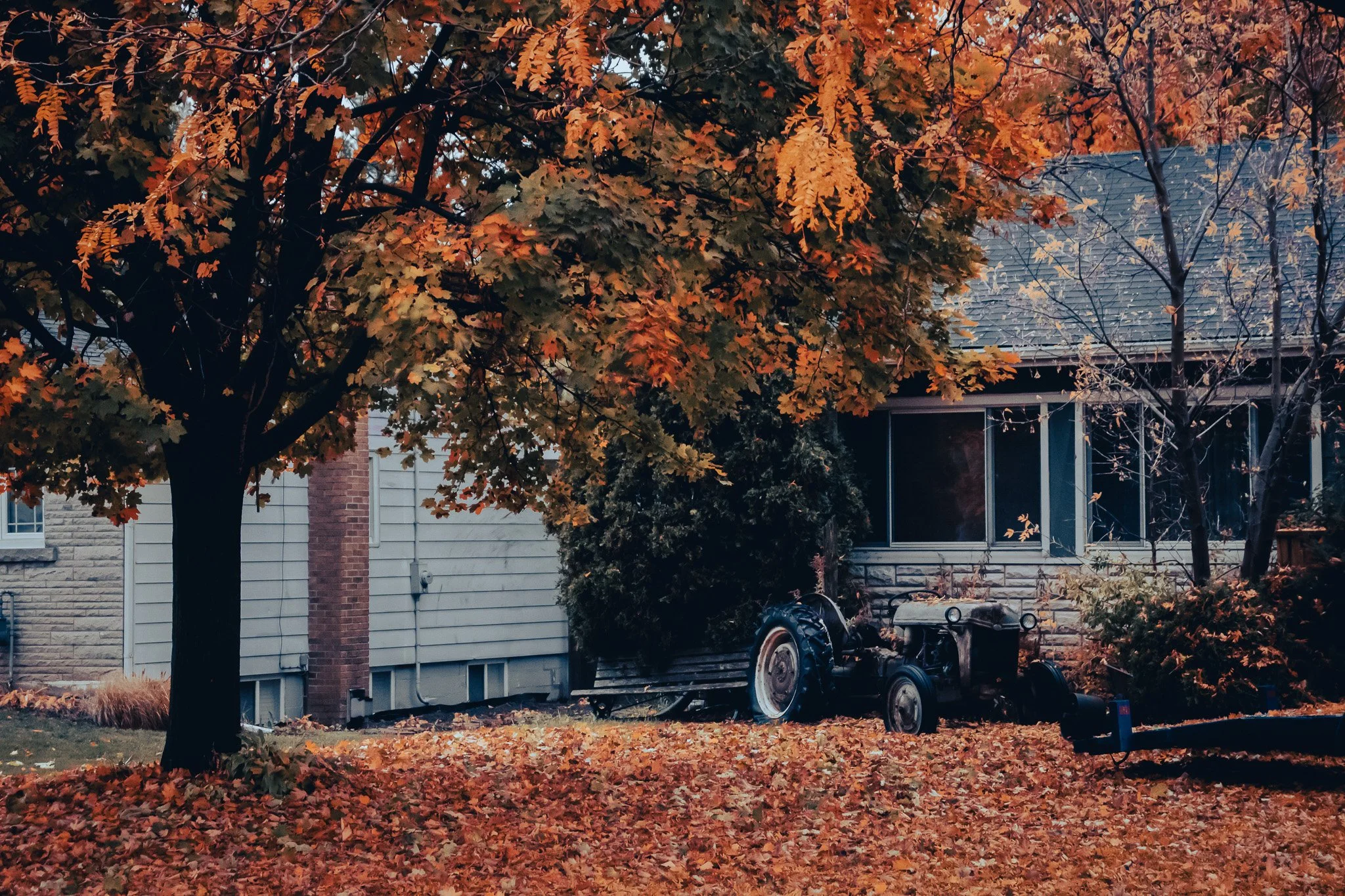Autumn scene in a backyard featuring a tree with orange and yellow leaves, fallen leaves on the ground, and a house with a gray roof and white siding in the background. A trailer with a bicycle on it is parked near the house.