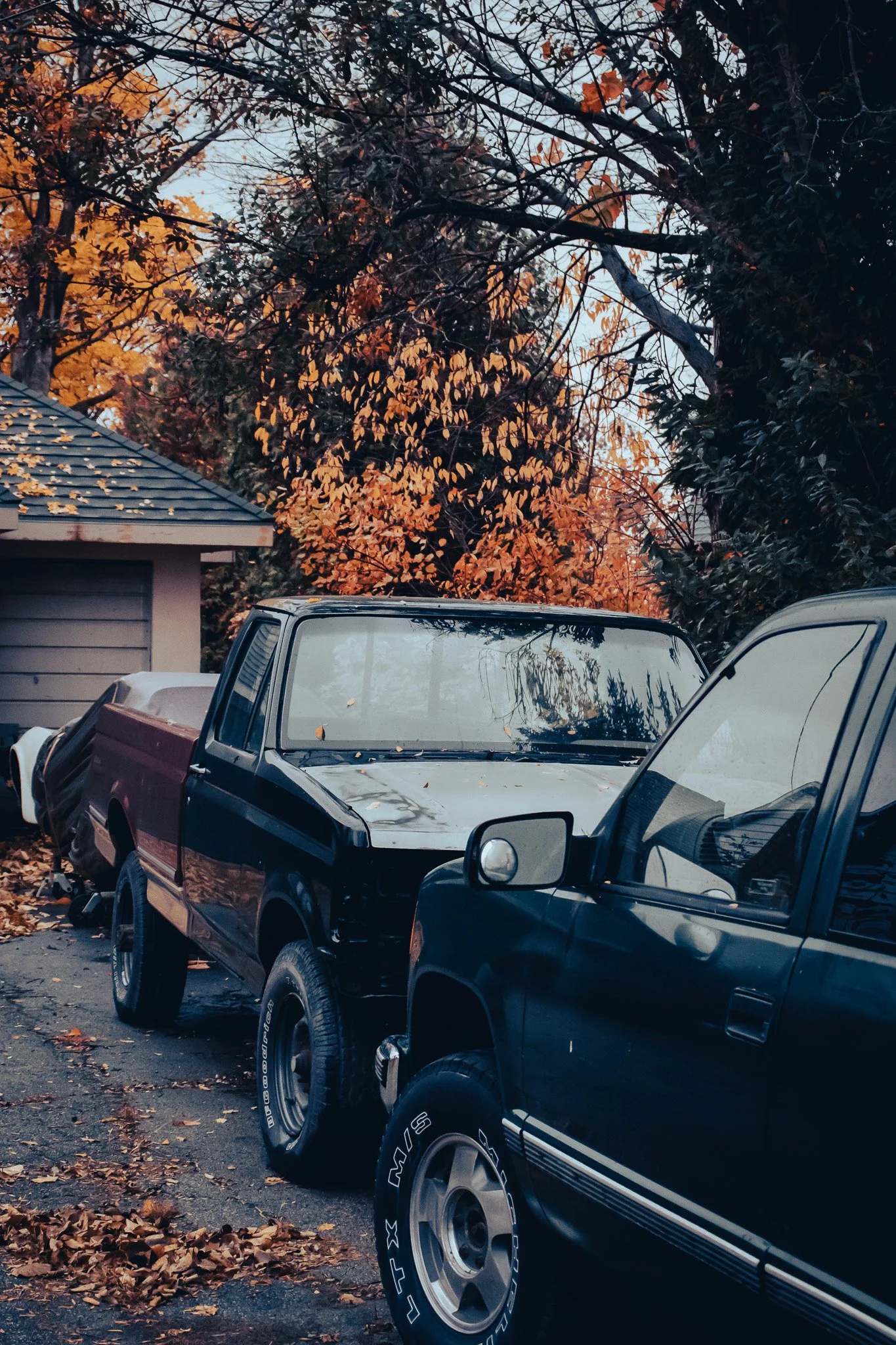 A black vintage pickup truck parked beside a house with a grey roof, surrounded by trees with orange and red autumn leaves. Fallen leaves are scattered on the ground and on the truck.