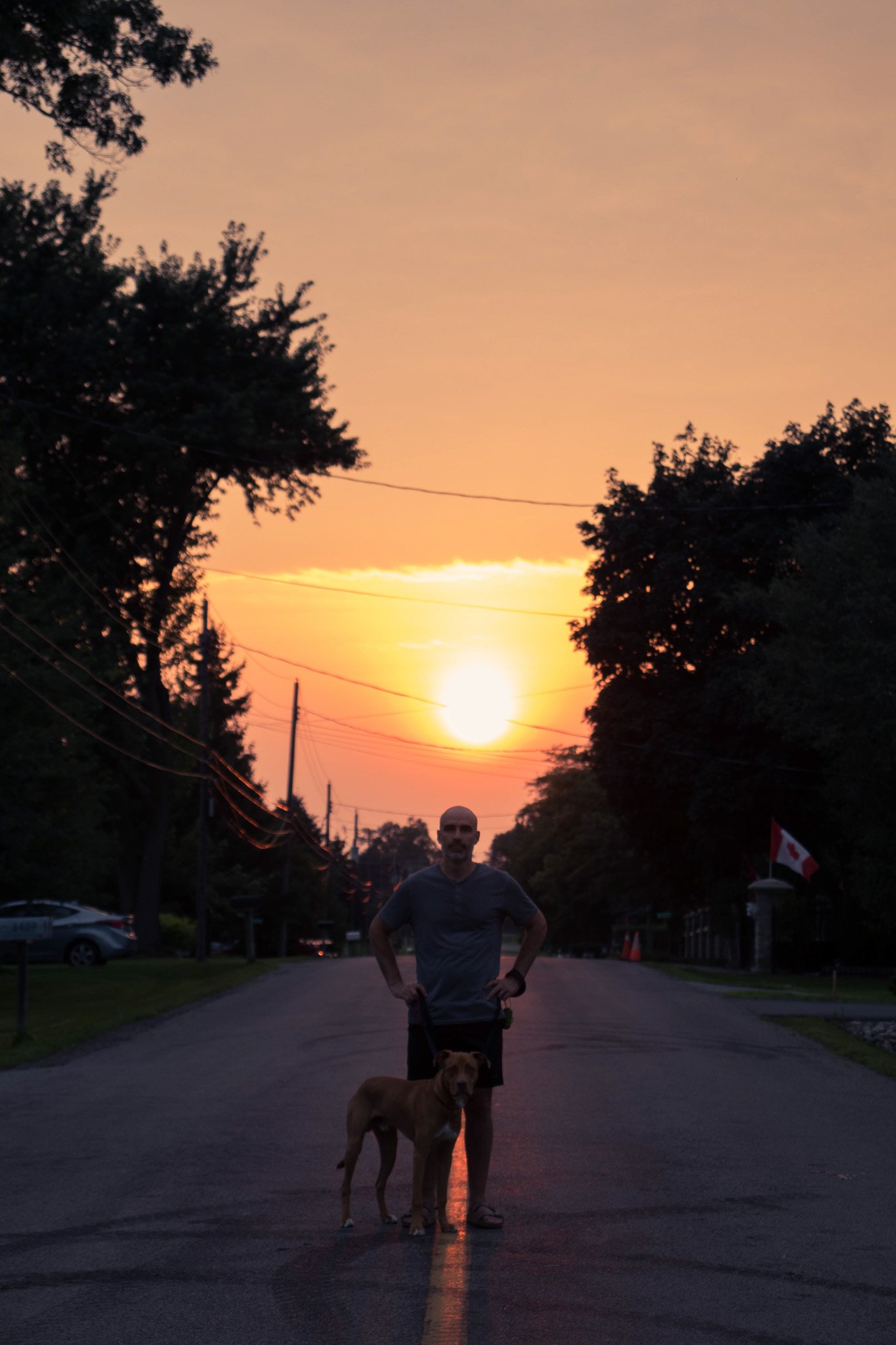 A person standing on a street at sunset with his dog, silhouetted against a colorful sky with trees and power lines in the background.