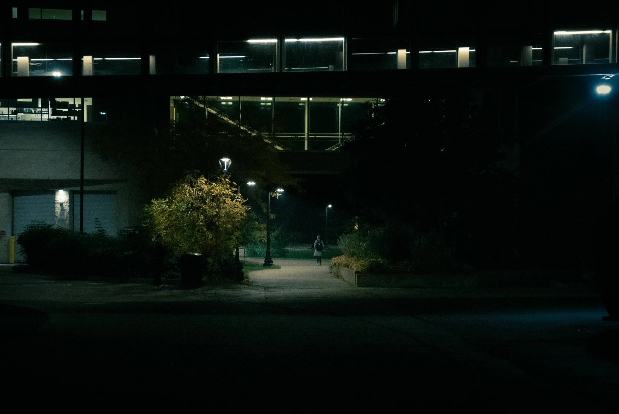A dark night scene outside a modern building with illuminated windows. There is a woman walking on a sidewalk, surrounded by trees and street lamps.