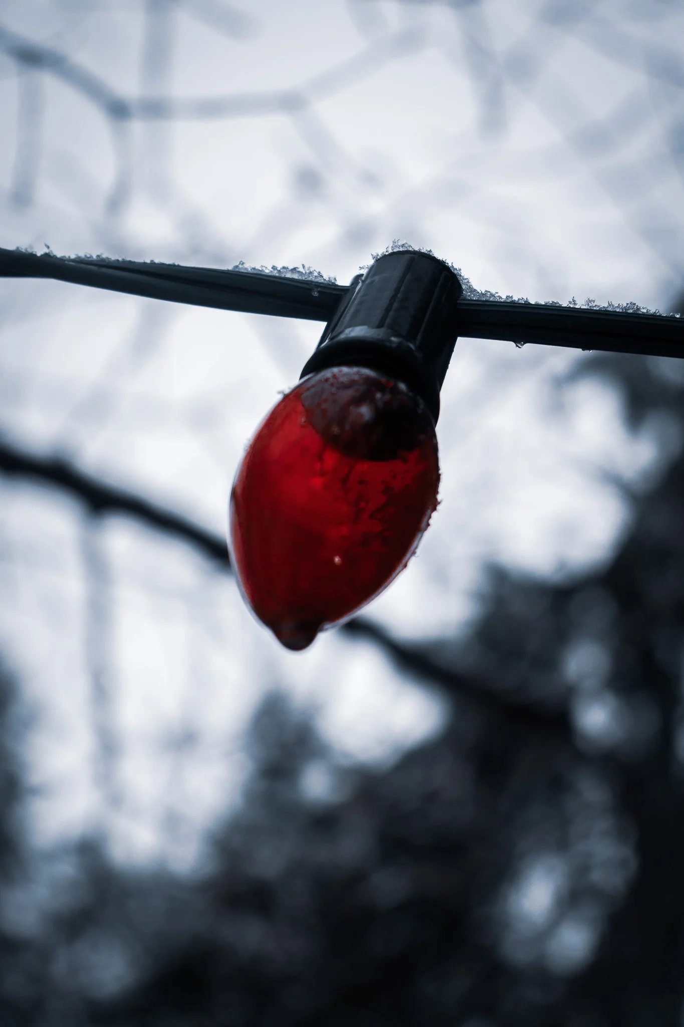 Close-up of a red Christmas light bulb covered with snow, hanging on a string against a blurred snowy background.