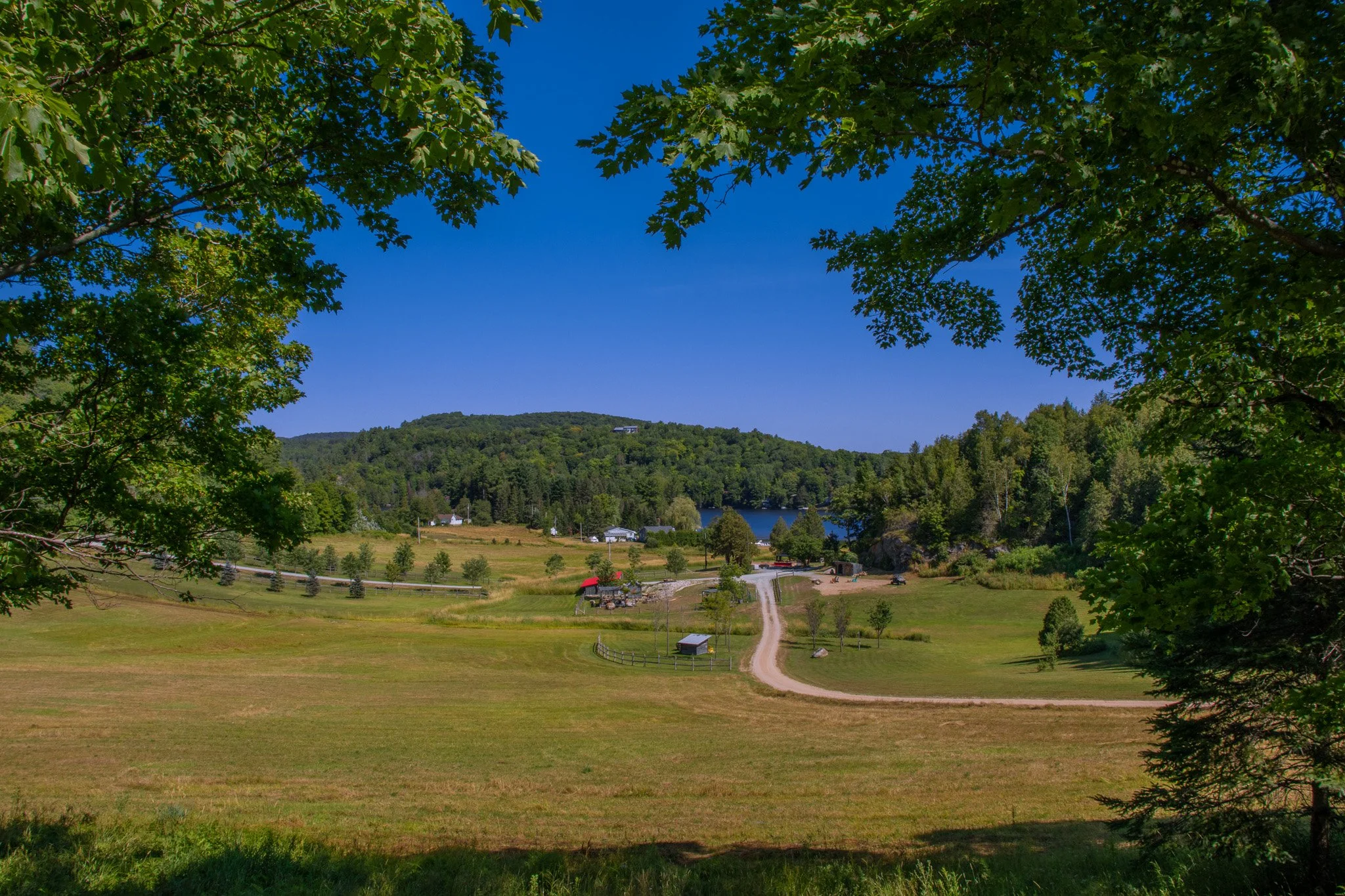 Scenic view of a grassy field with a dirt road leading to a small pond, surrounded by trees and hills under a clear blue sky.