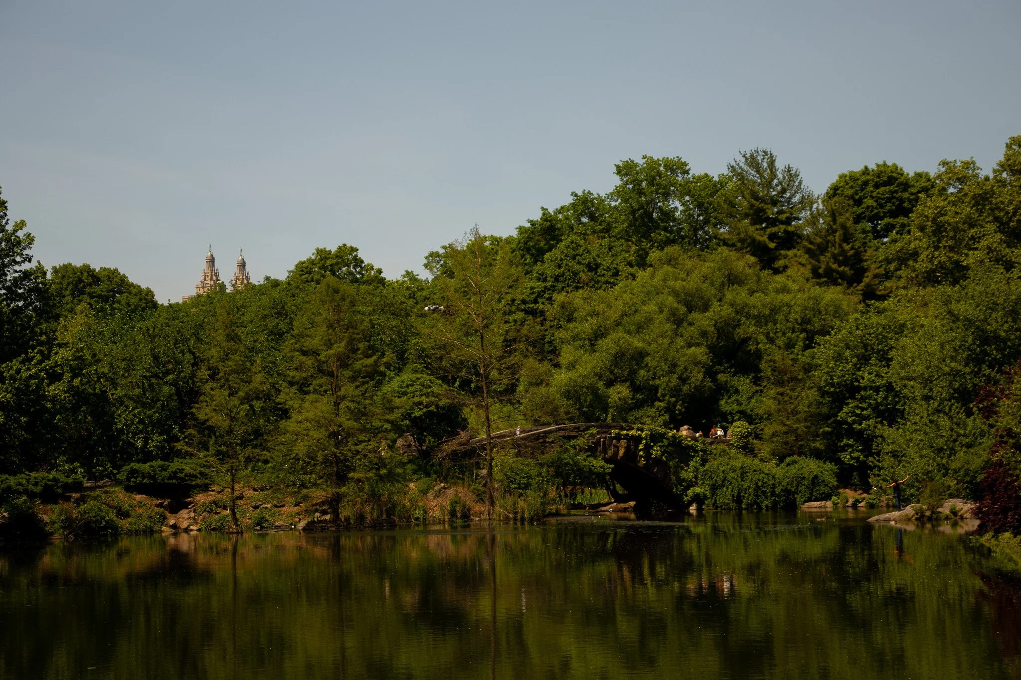 A park with lush green trees, a peaceful river, and a city skyline with historic buildings in the background under a clear blue sky.