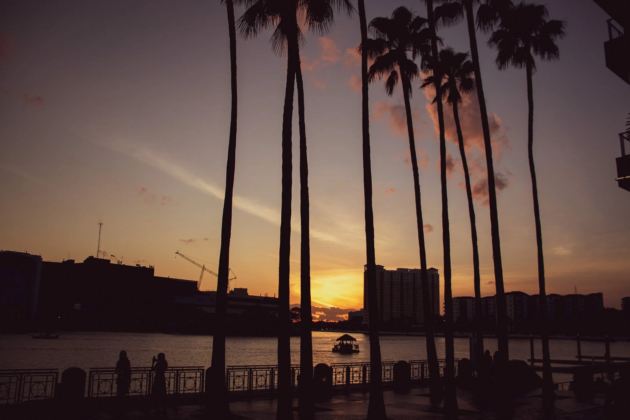 Sunset over a river with tall palm trees in the foreground, city buildings in the background, and a boat on the water.