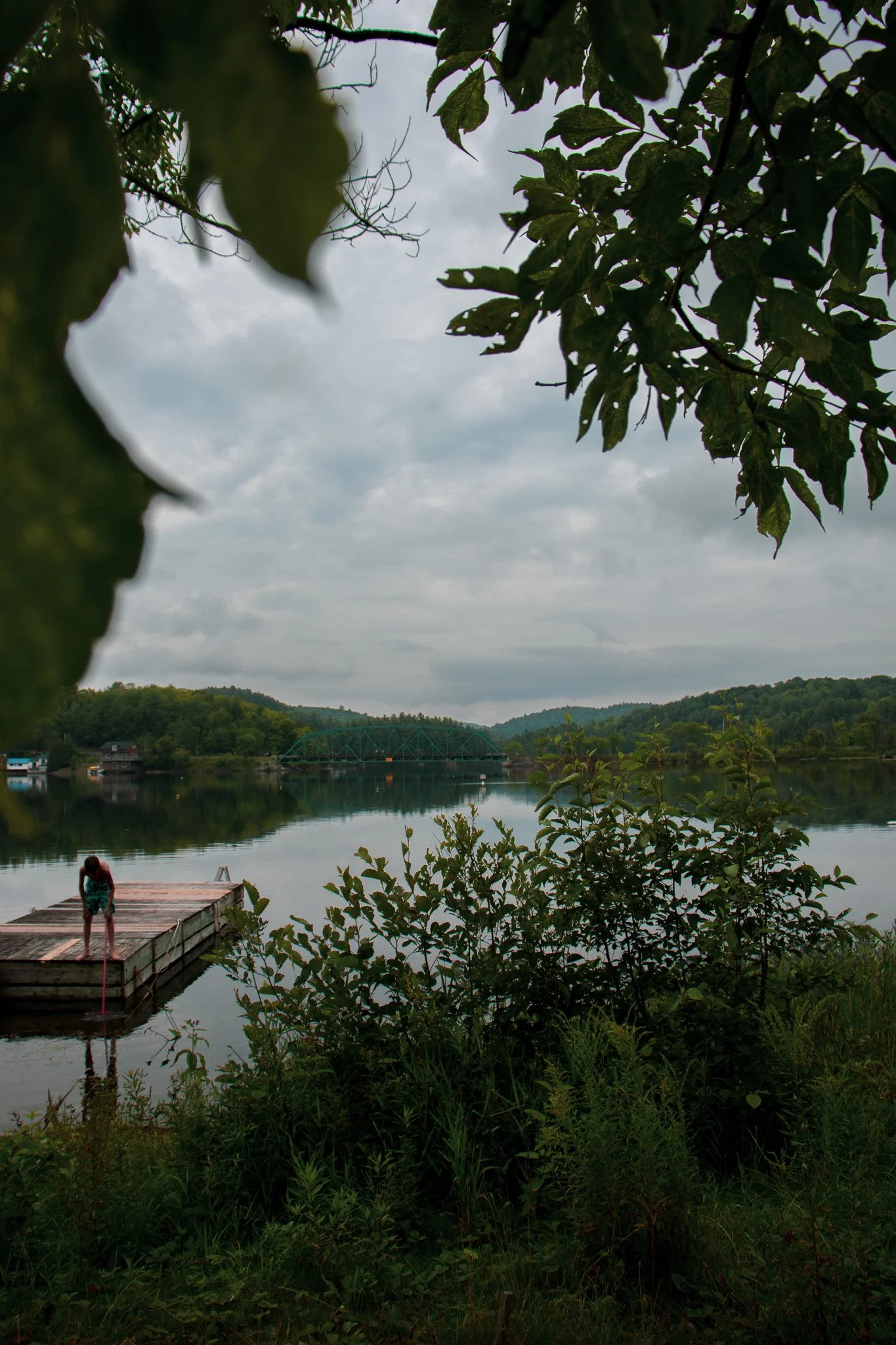 Scenic view of a lake with a dock, surrounded by greenery and trees, with overcast sky and hills in the background. A person is on the dock, leaning over the edge.