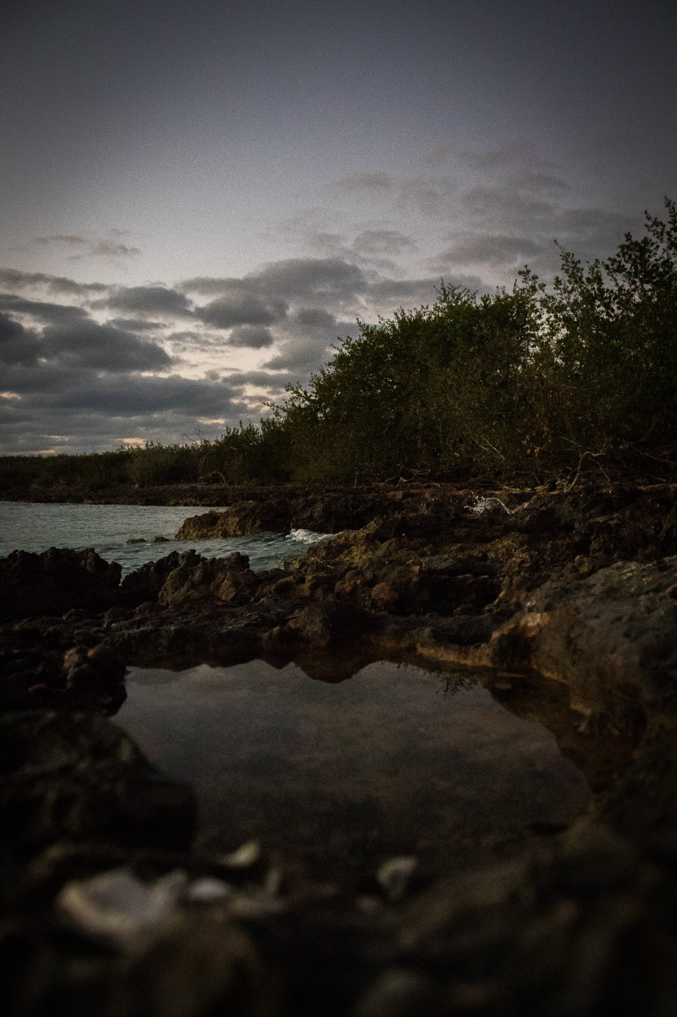 Rocks along a shoreline with water, bushes, and cloudy sky during dusk or dawn.