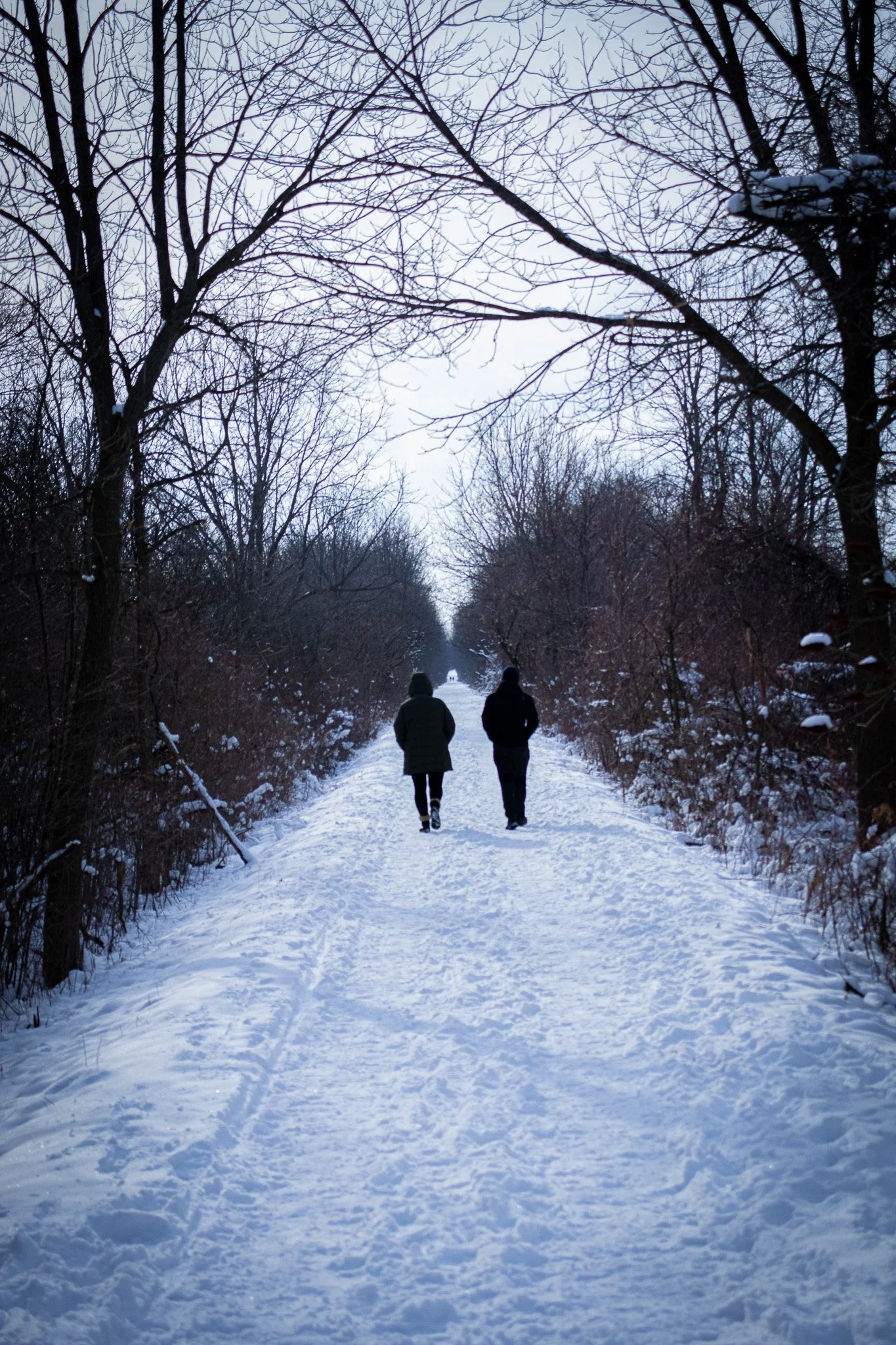 Two people walking on a snow-covered trail through a winter forest with bare trees, under a cloudy sky.