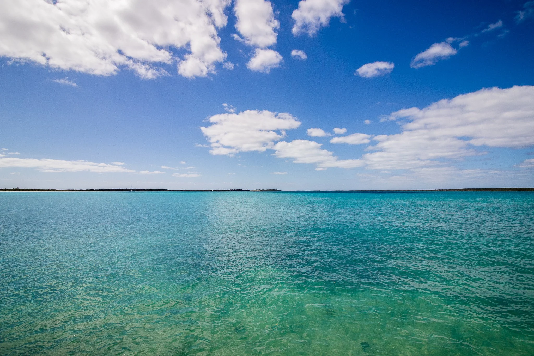 A large body of turquoise water under a blue sky with scattered white clouds, city and trees visible on the distant horizon.