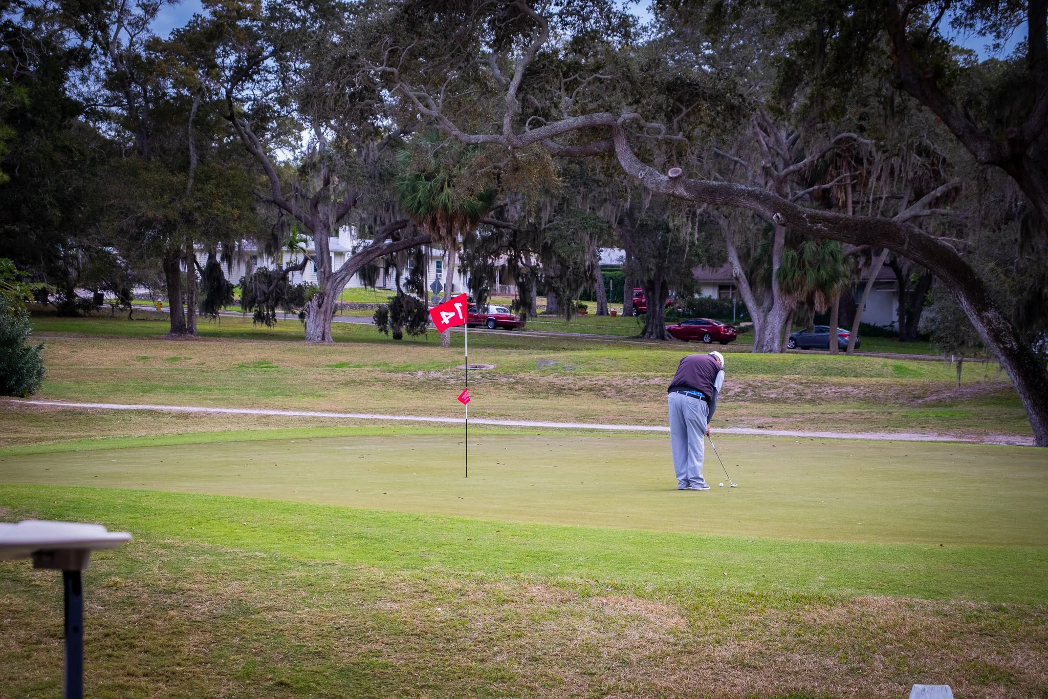 A golfer on a golf course preparing to putt, with a flag marked 14 in a golf hole nearby, trees with Spanish moss and several parked cars in the background.