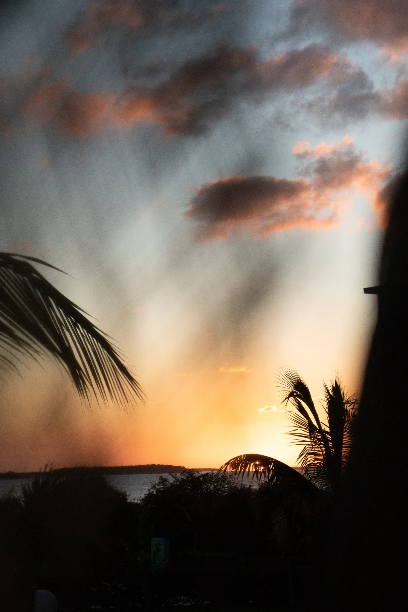 Sunset over the ocean with silhouetted palm trees in the foreground and pink and gray clouds in the sky.