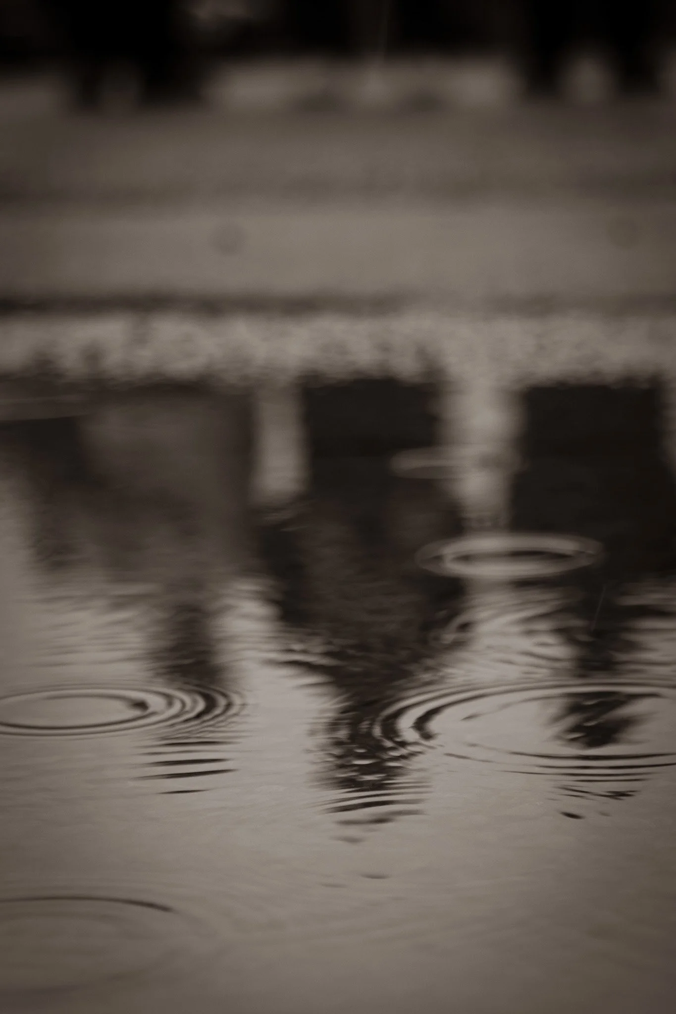 Close-up of water surface with ripples and reflections, likely raindrops falling into the water creating circular ripples.
