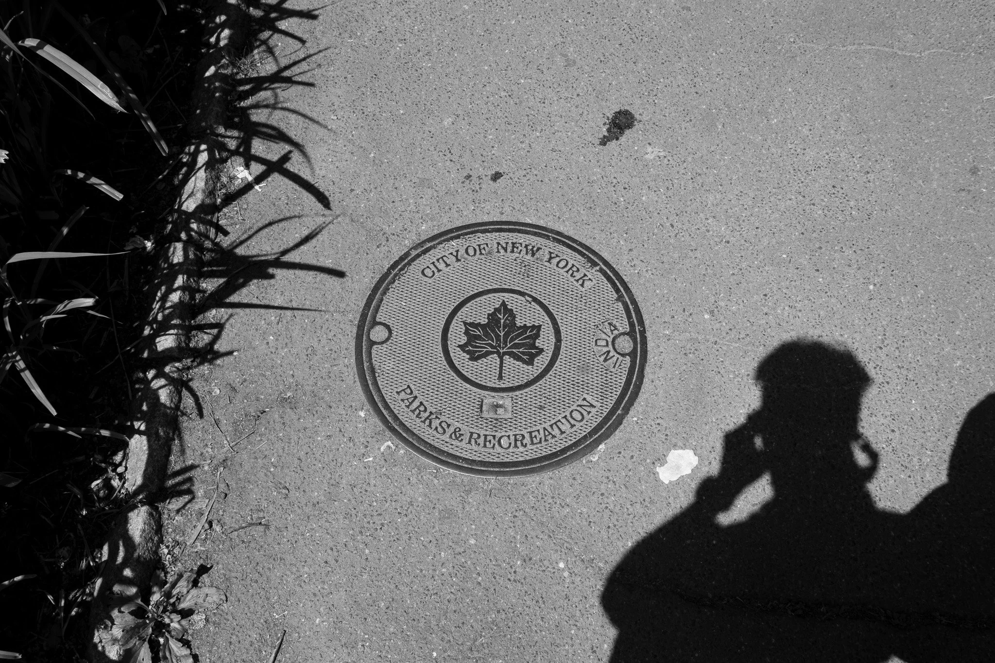 A circular manhole cover on pavement with the text 'City of New York Parks & Recreation' and a maple leaf symbol, shadow of a person and some plants on the left side.