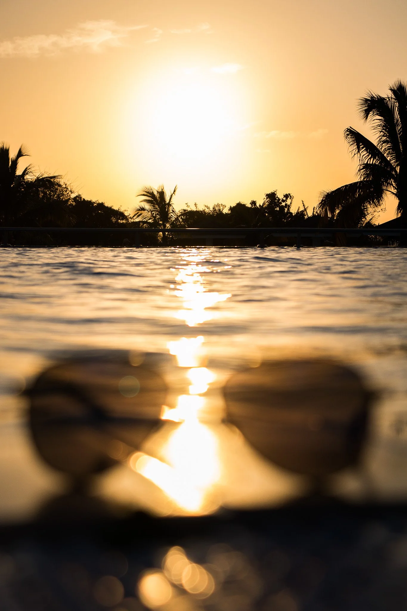 A sunset over a tropical landscape with palm trees, viewed through out-of-focus circular objects in the foreground.