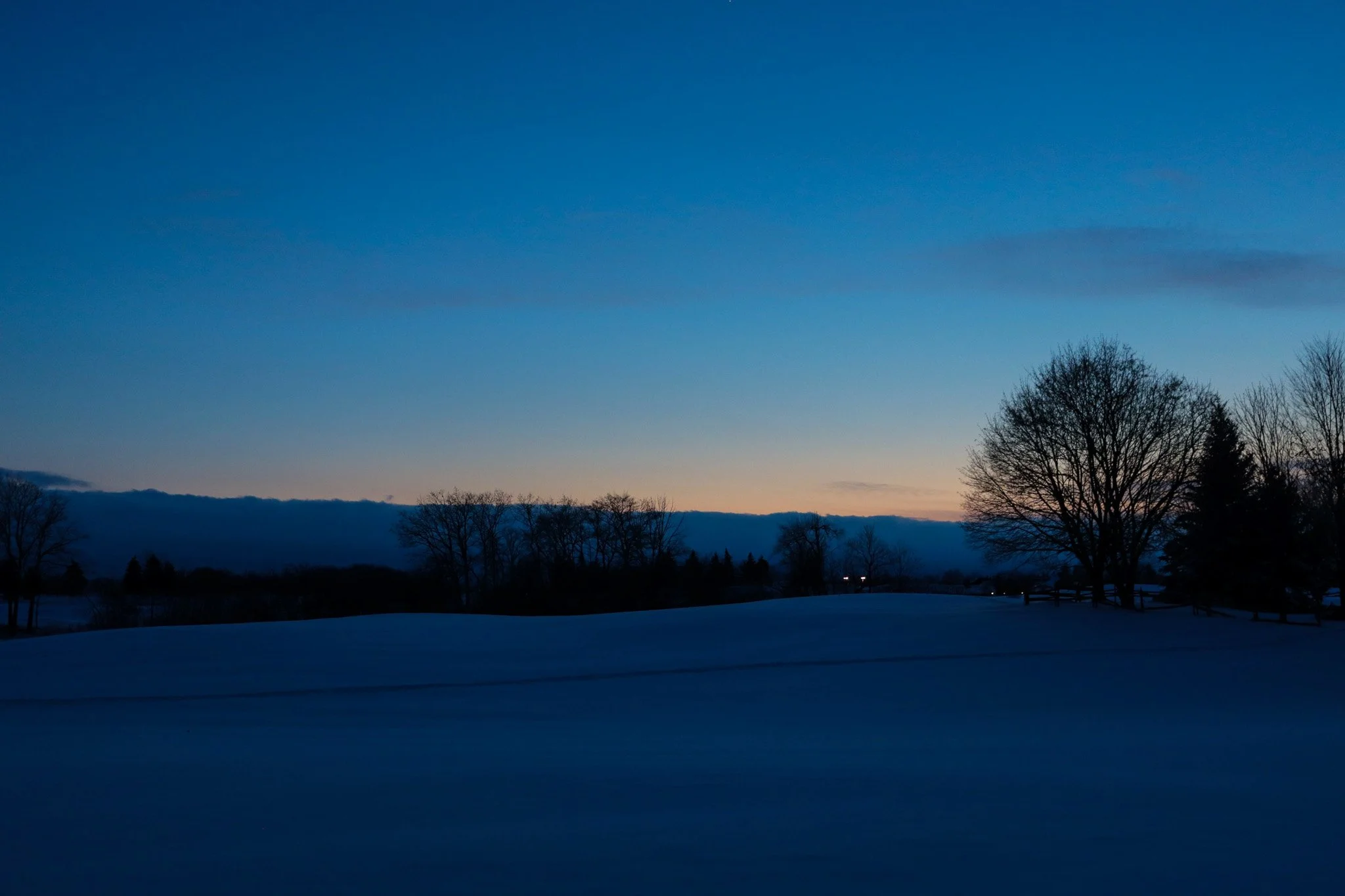 A winter landscape showing a snow-covered field with leafless trees silhouetted against a deep blue sky at dusk.