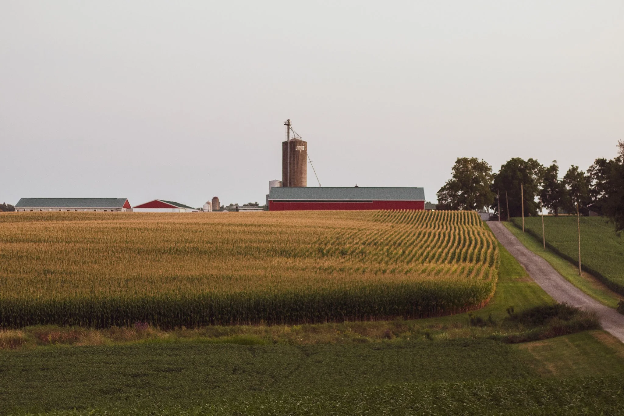 A farm landscape with a large red barn, silos, and crop fields, along with a dirt road and trees in the background under a clear sky.