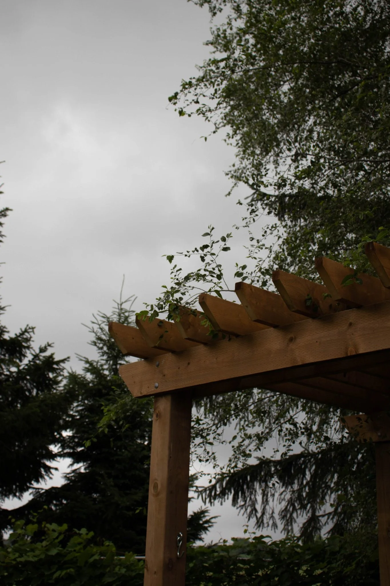 Part of a wooden structure, possibly a pergola or fence, with trees and plants in the background under an overcast sky.