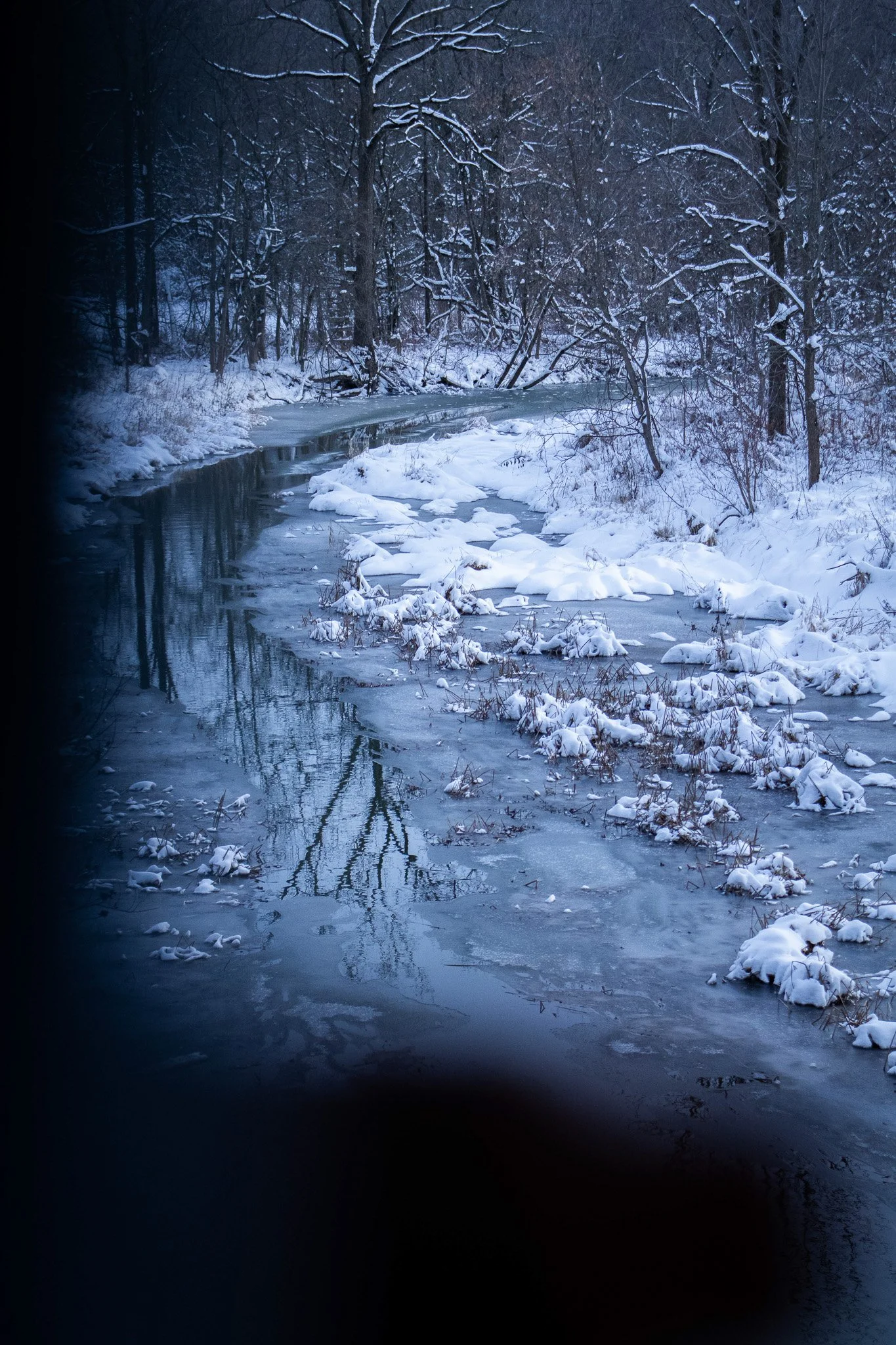 Snow-covered trees and a partially frozen river in a winter forest at dusk.